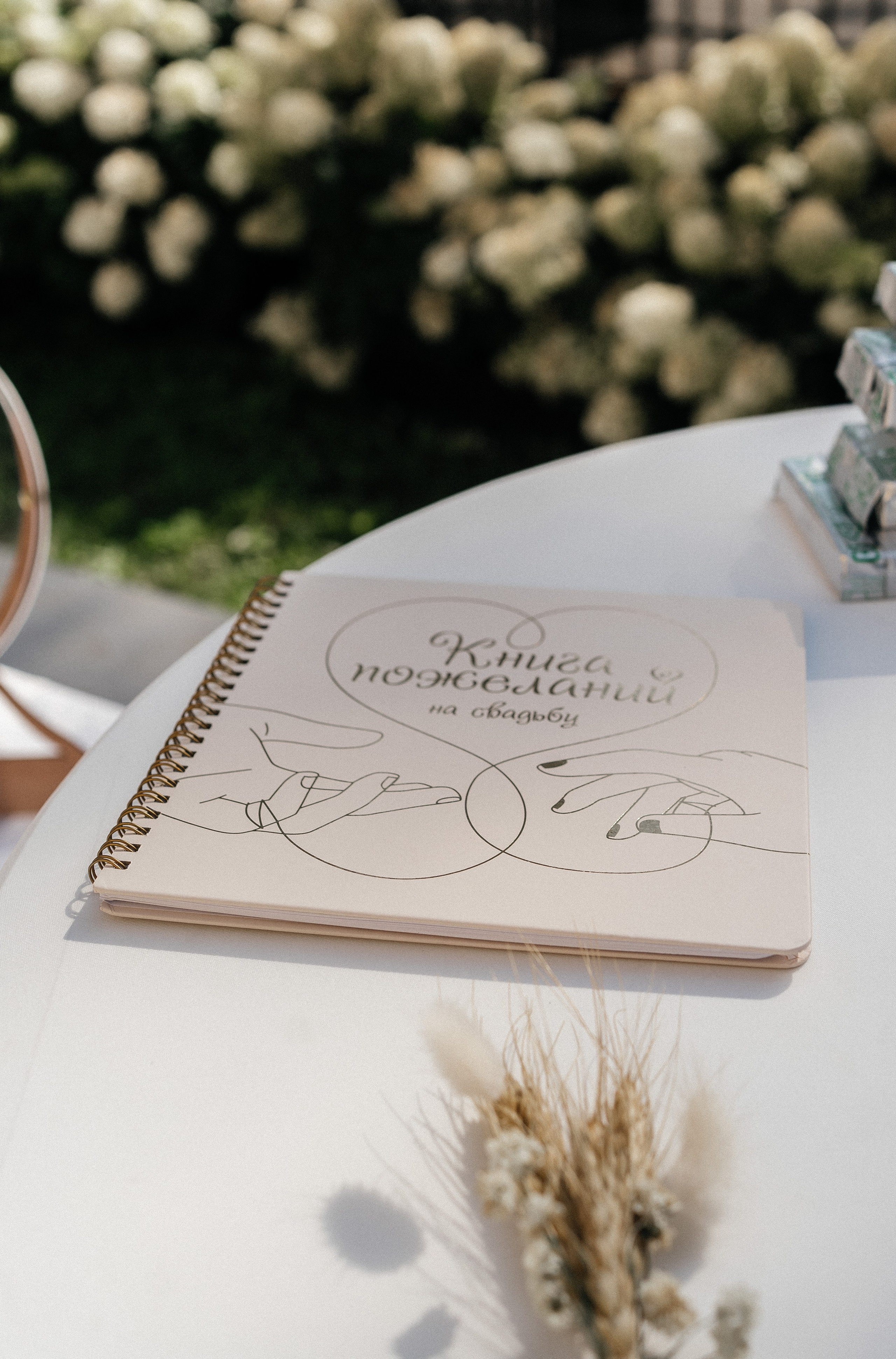 София и Даниил. Главная