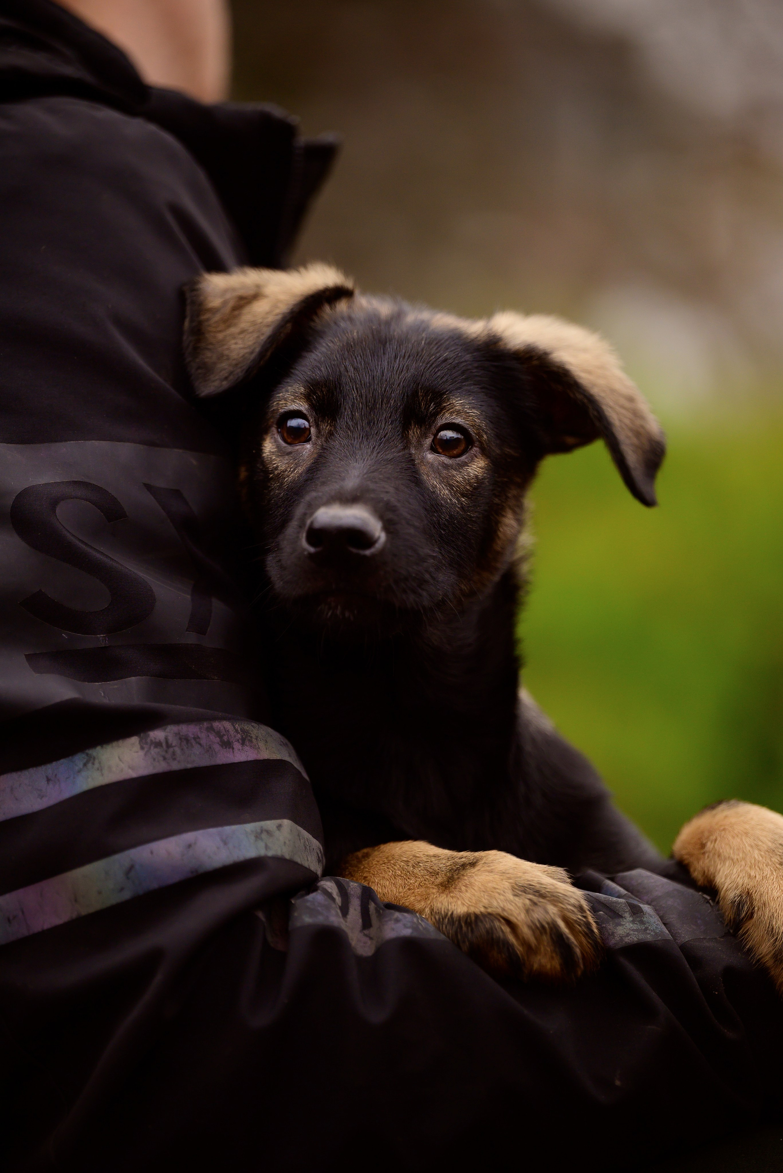 Круассанчики. Мила Астахова