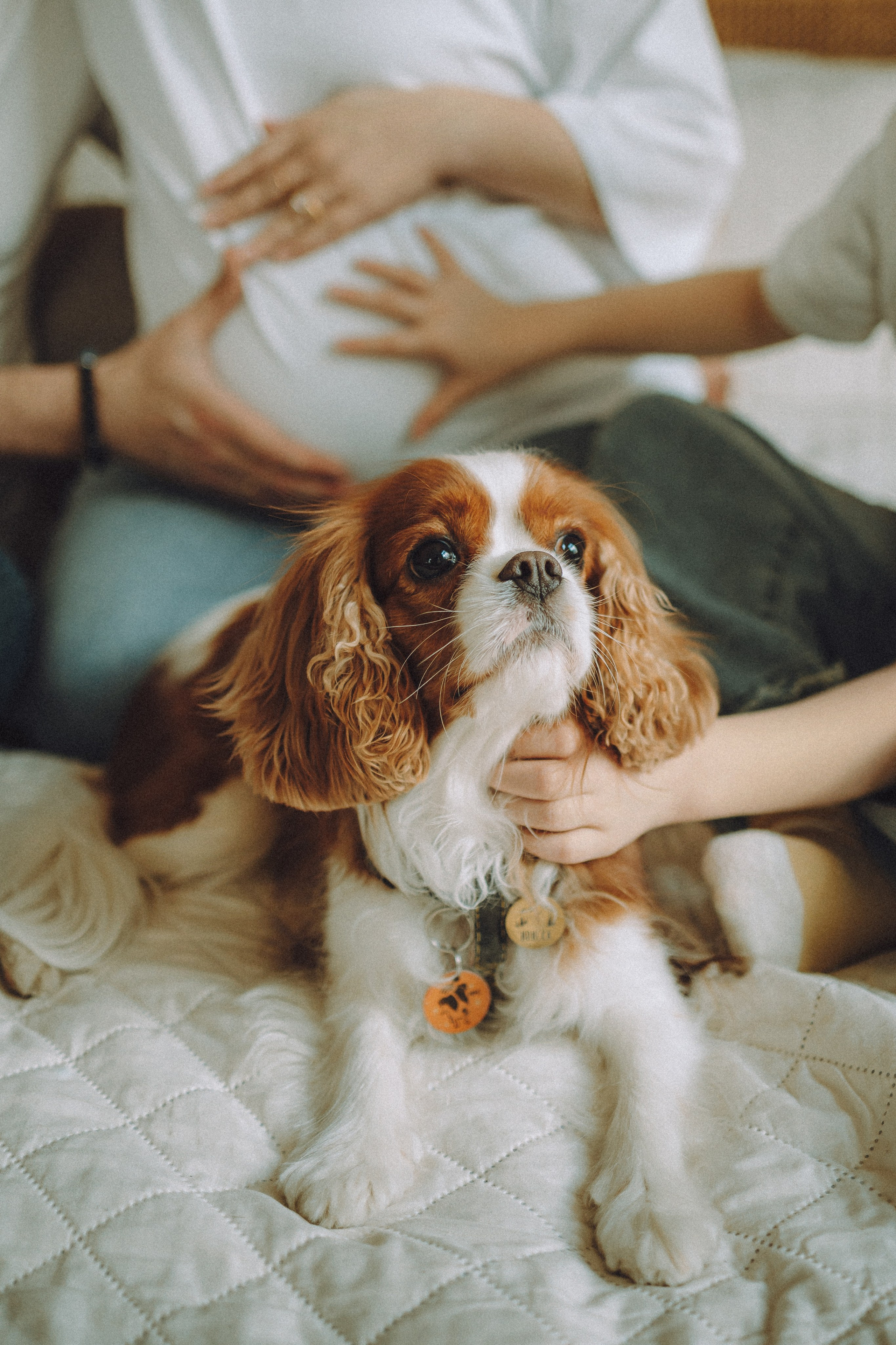 Валя, Вася, Аня и Ириска