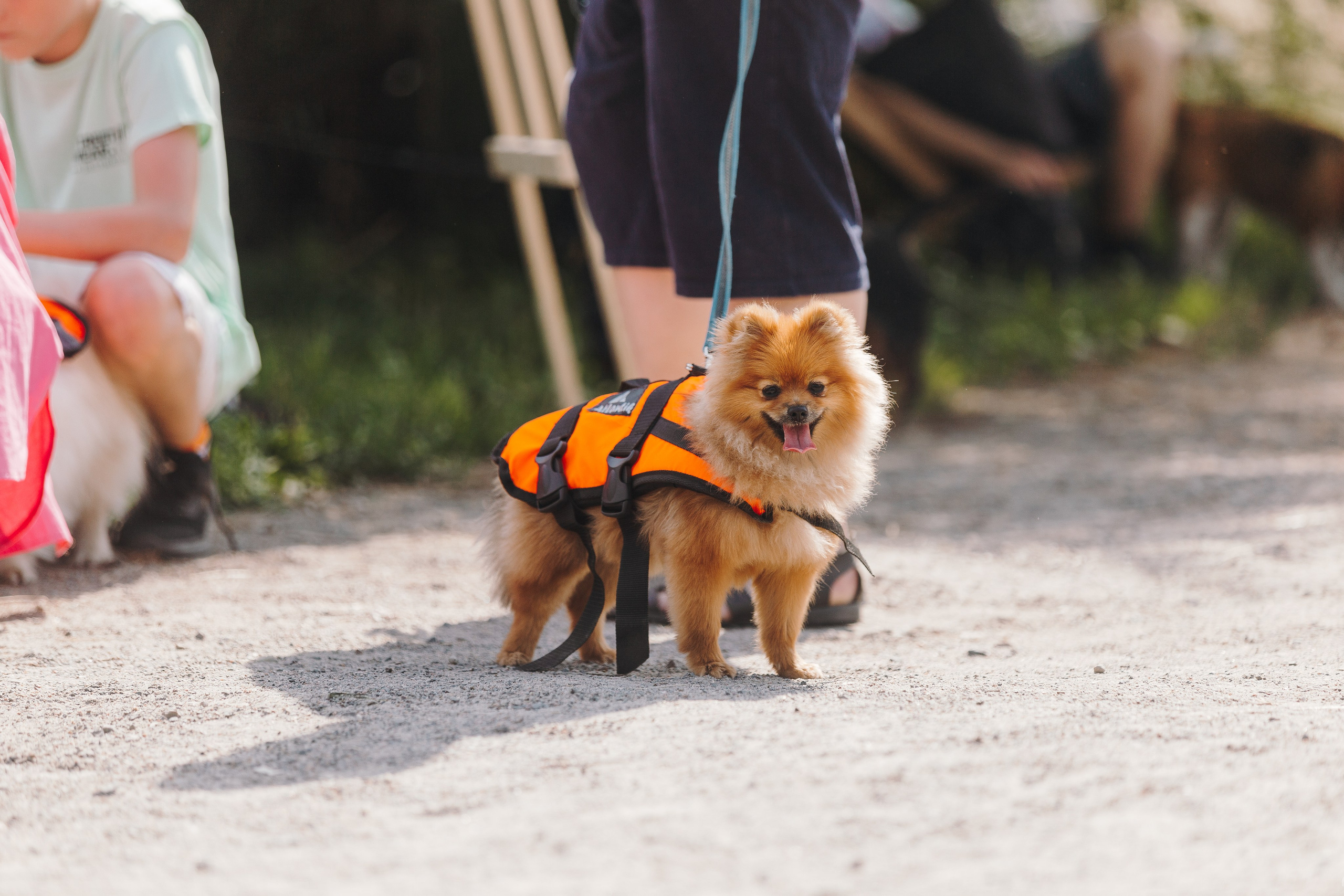 Petshop Sup day. Фотограф анималист Кристина Карпова, Москва