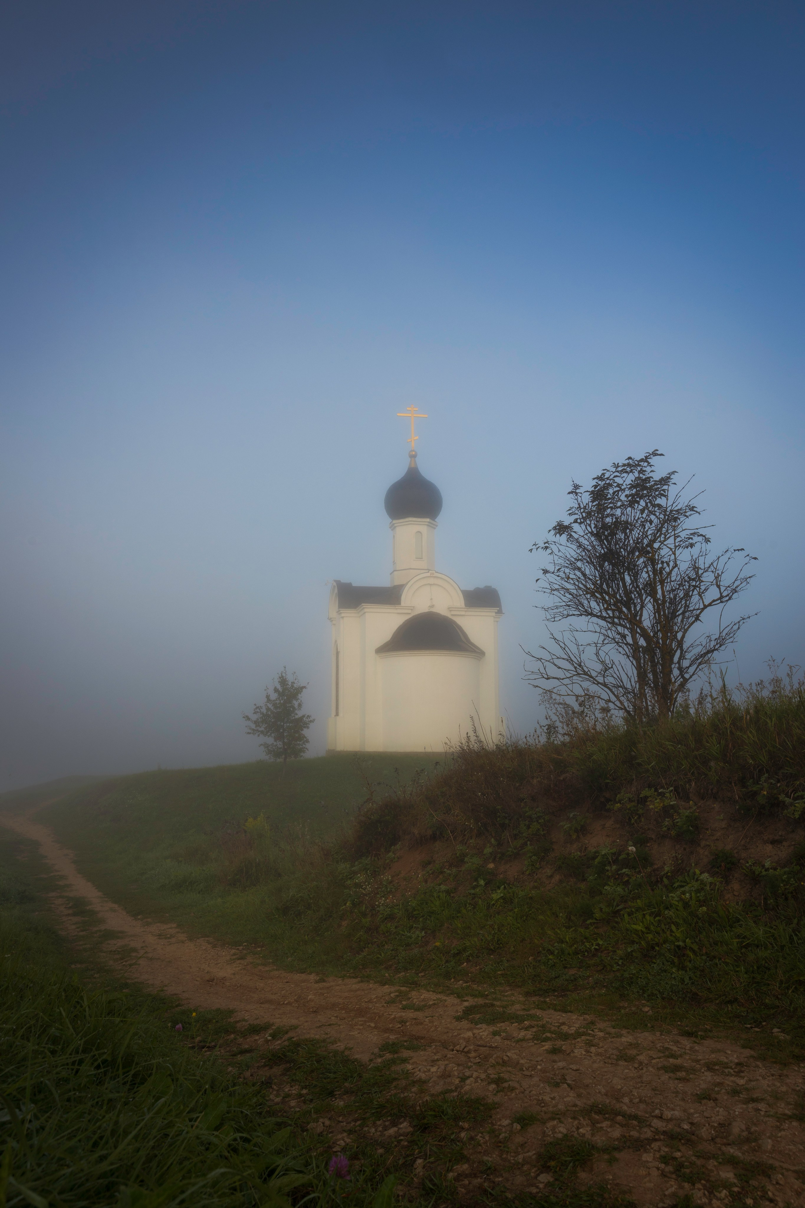 Алексинский район. Фотограф Артём Парамонов