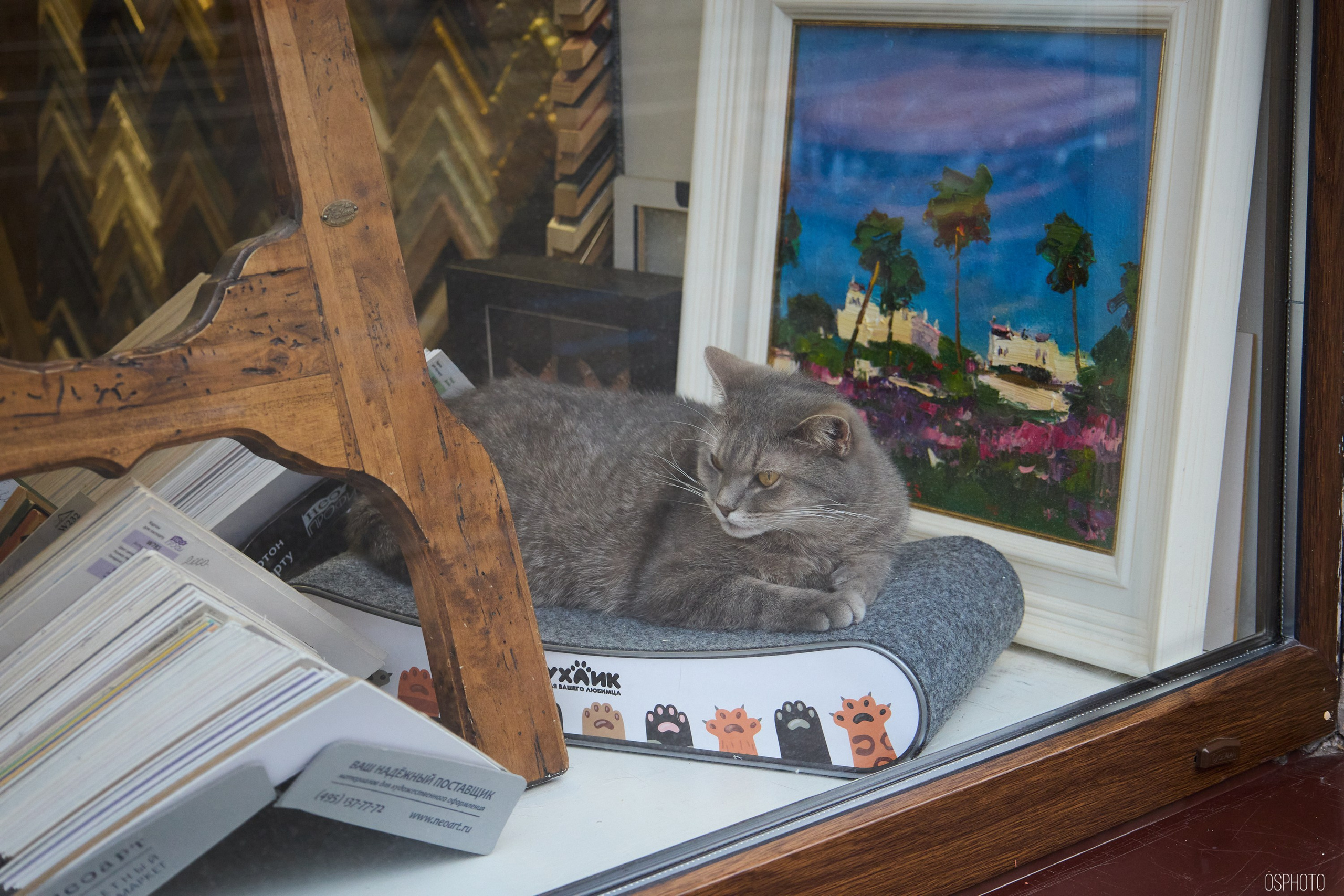 Васильевский остров. Фотографъ Сергѣевъ. Поймать мгновеніе