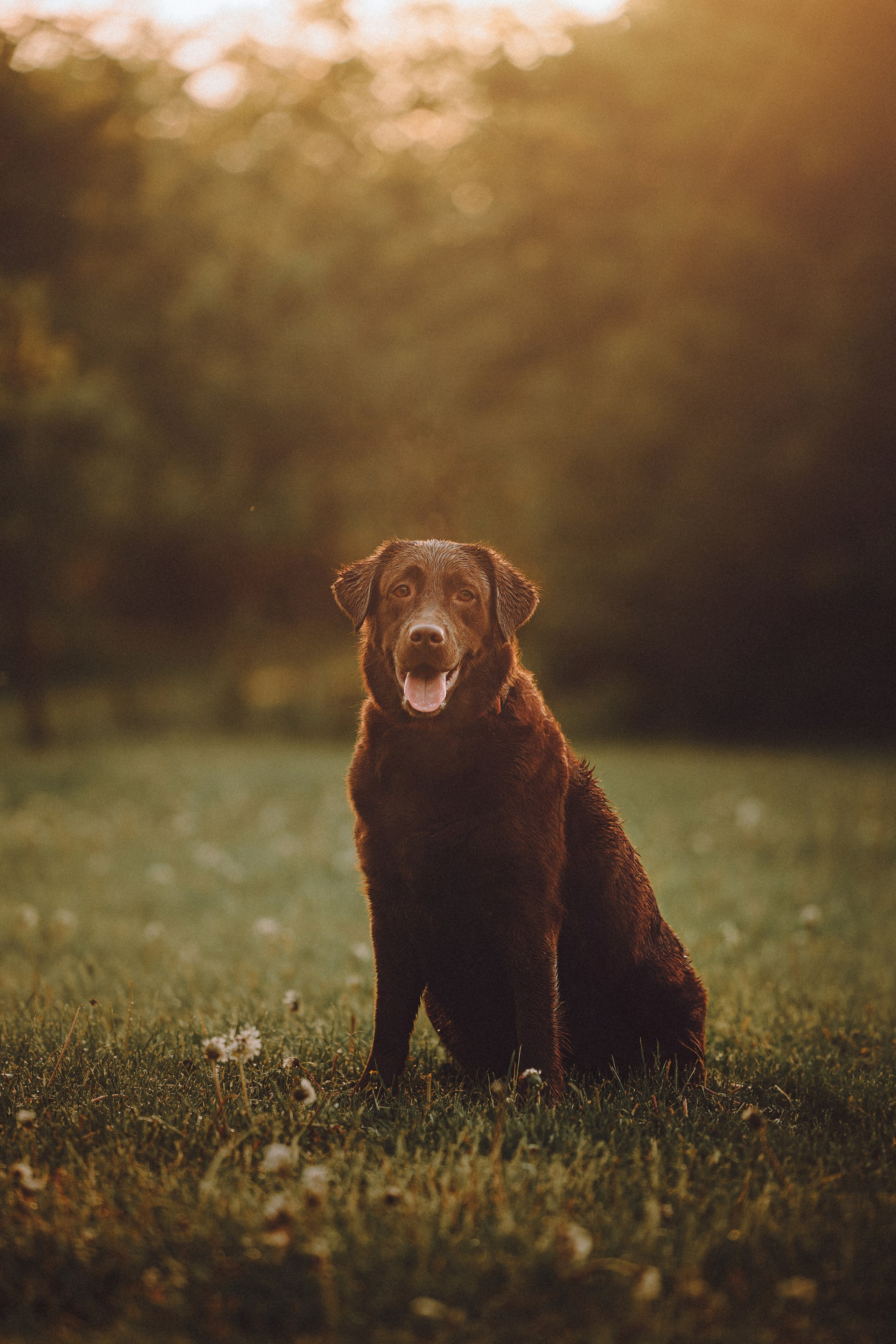 Катя, Ваня и Джеси