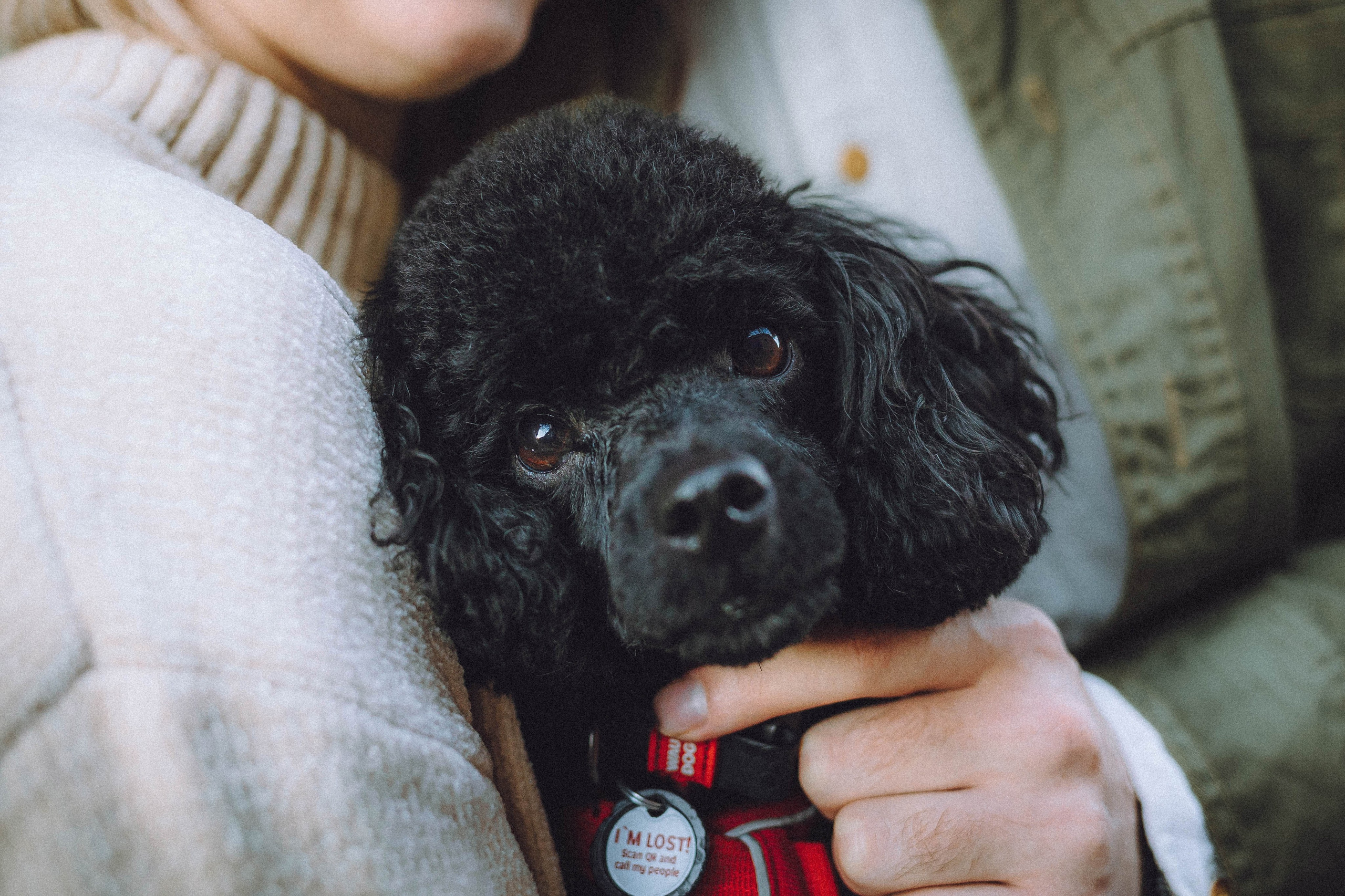 Игнат, Даша и Бэтти