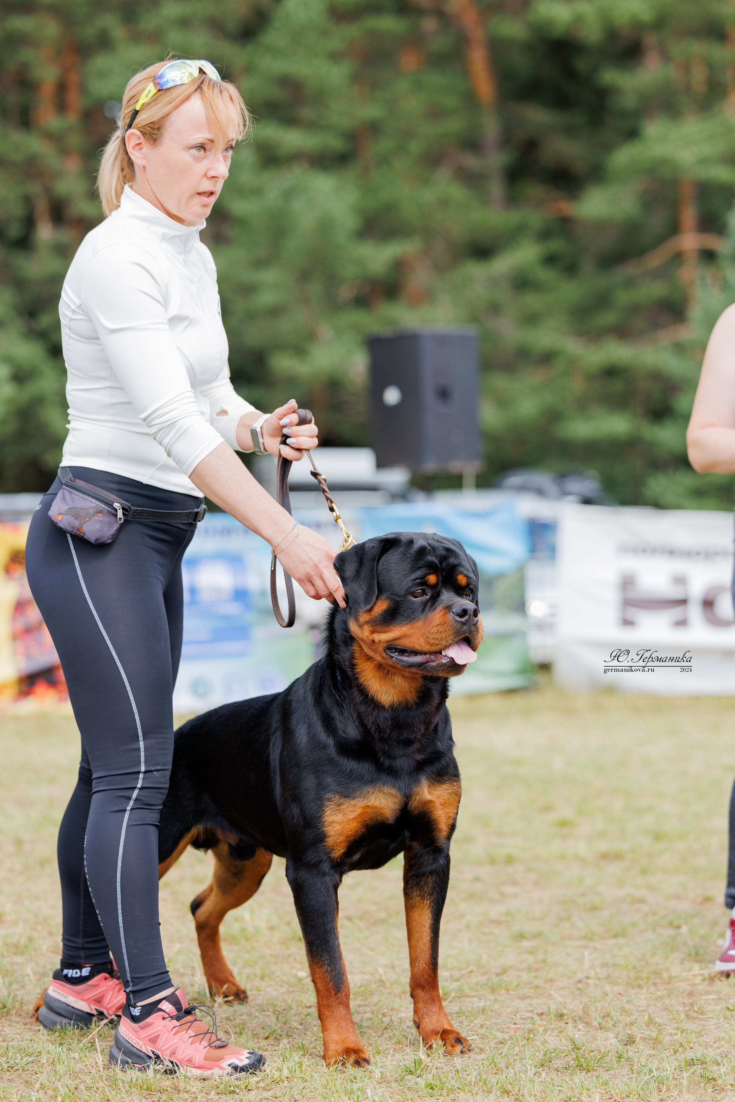 ПК и КЧК ротвейлеры Тверь 6-7.07.2024. Фотограф-анималист Юлия Германика