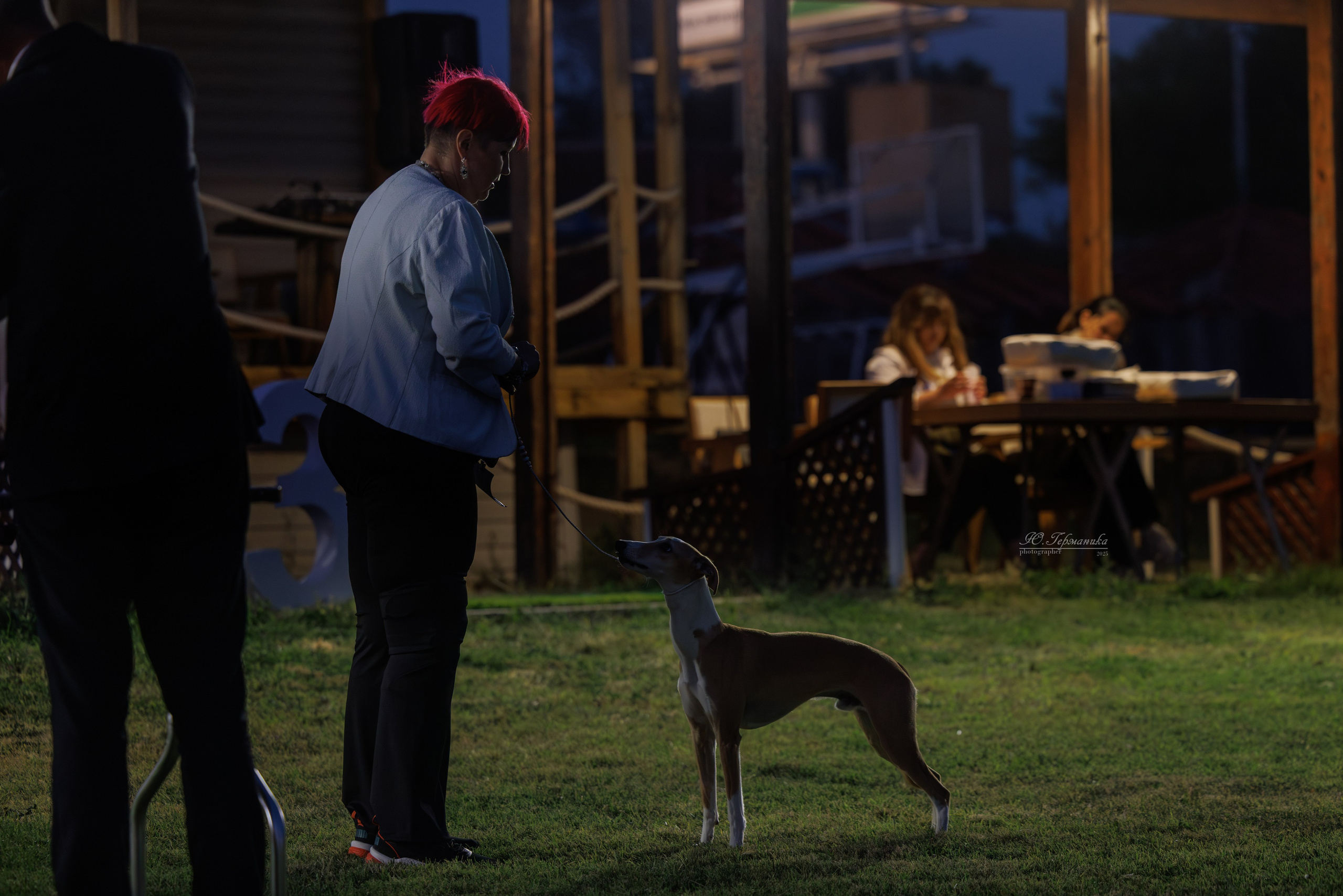 Ереван 3хCACIB 23-25.06.2025. Фотограф-анималист Юлия Германика