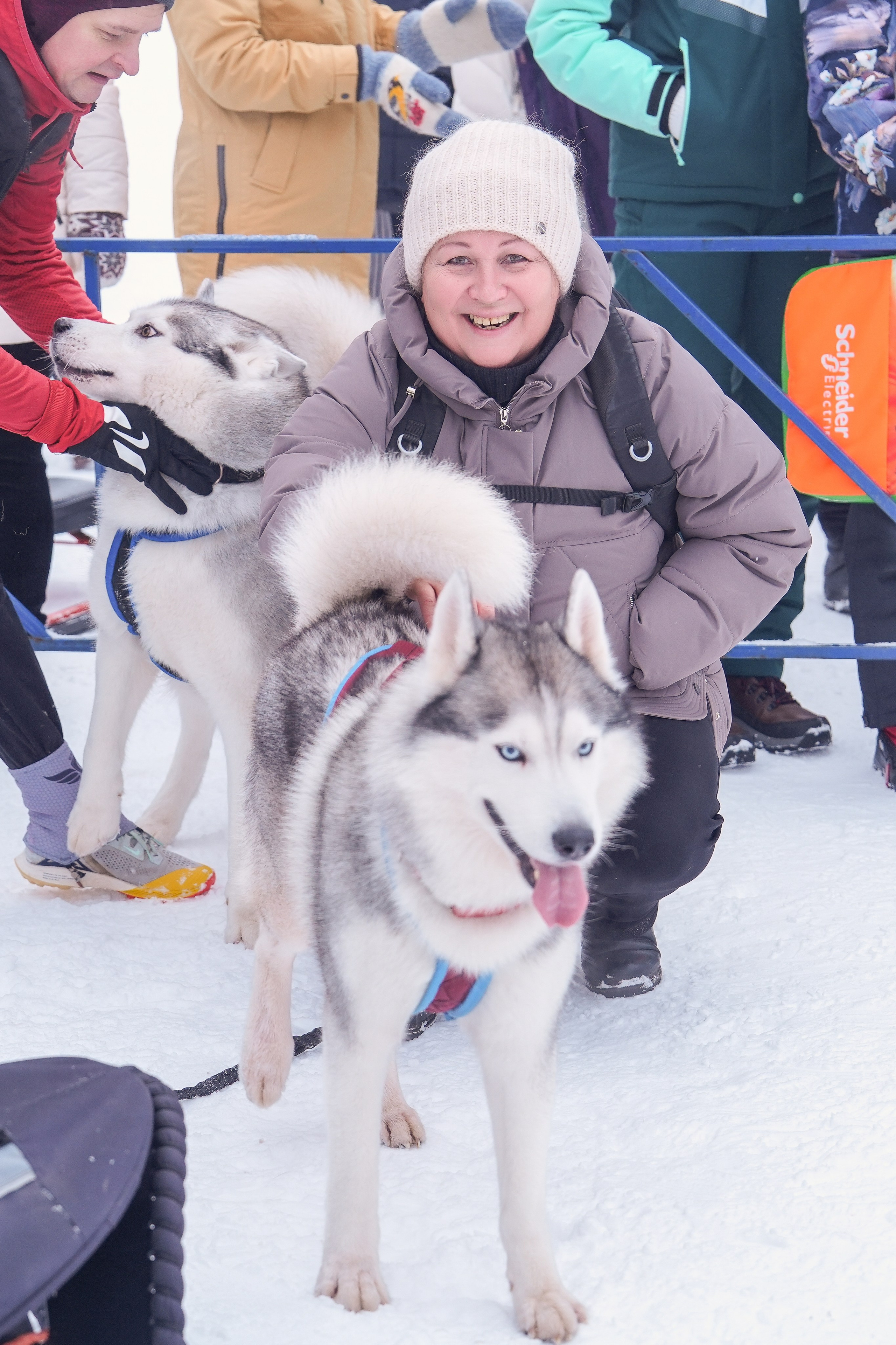 Рождественские гонки на собаках. Т/б «Чайка». Семейный фотограф Владимир Просвиркин. г. Самара