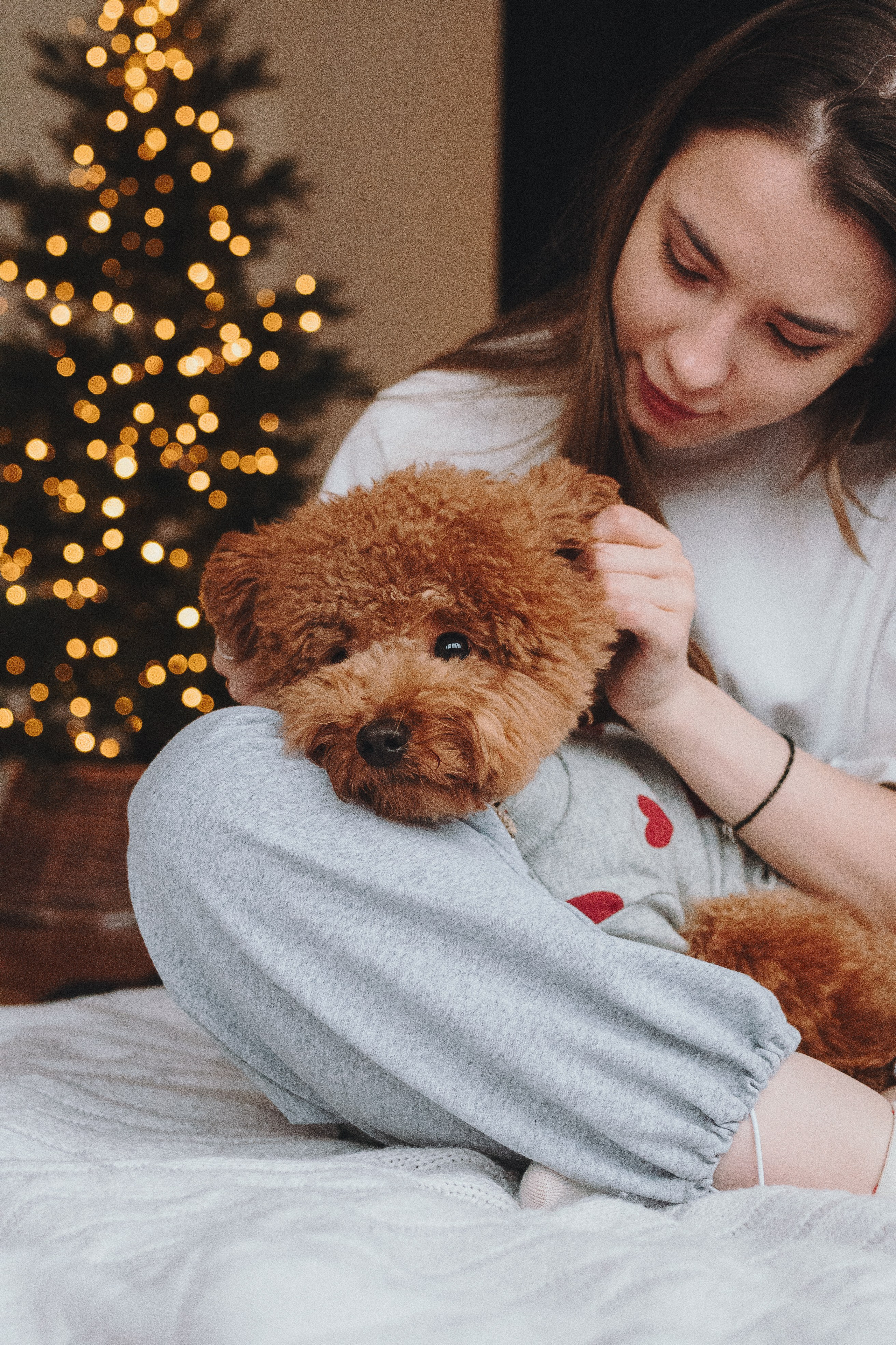 Alena & Marsel. Natalia Finch Photography — Family, Kids & Pet Photographer in Chicago, IL