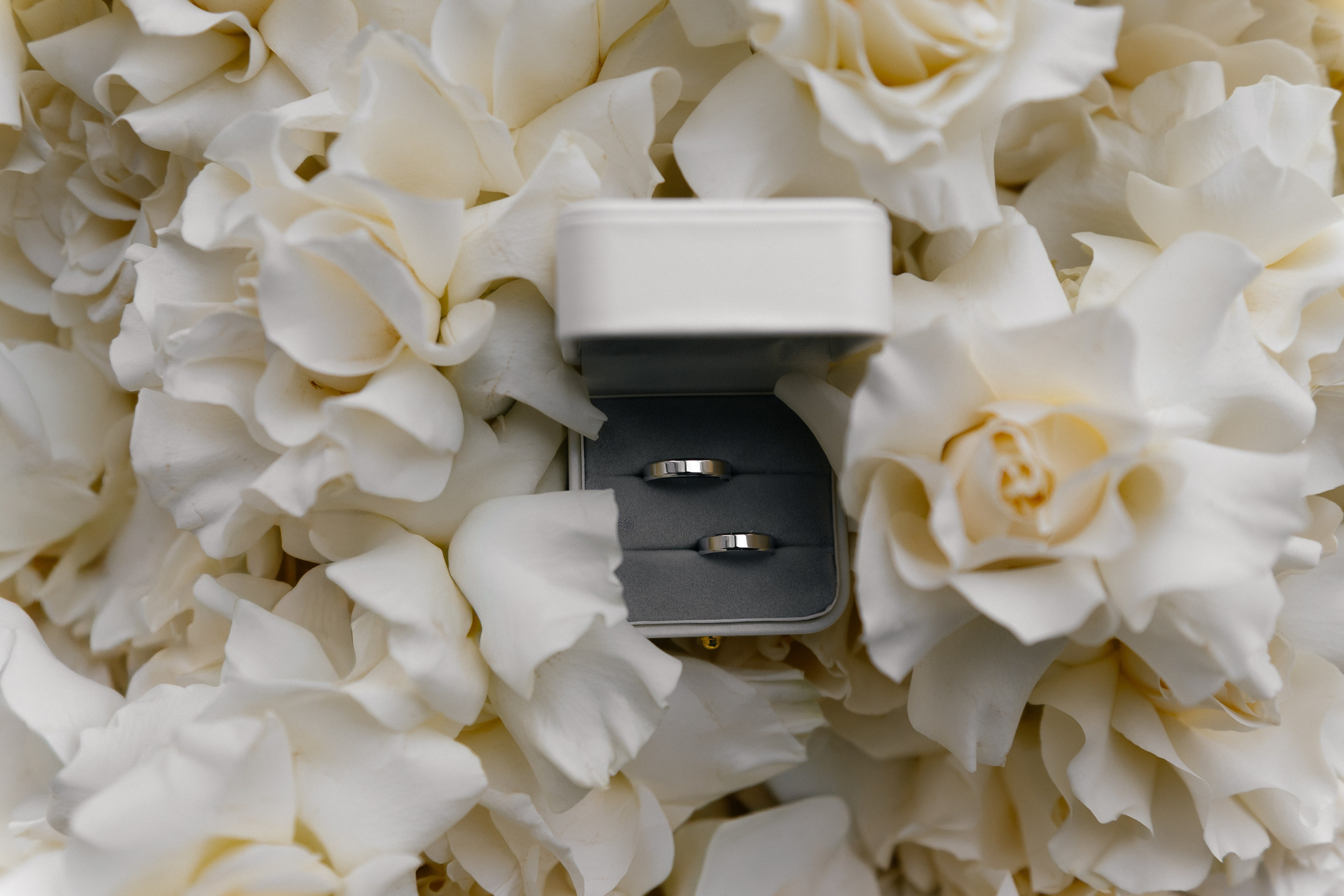 Wedding day of Valeria and Vladislav. Wedding PHOTOGRAPHER Andrew Vnukov