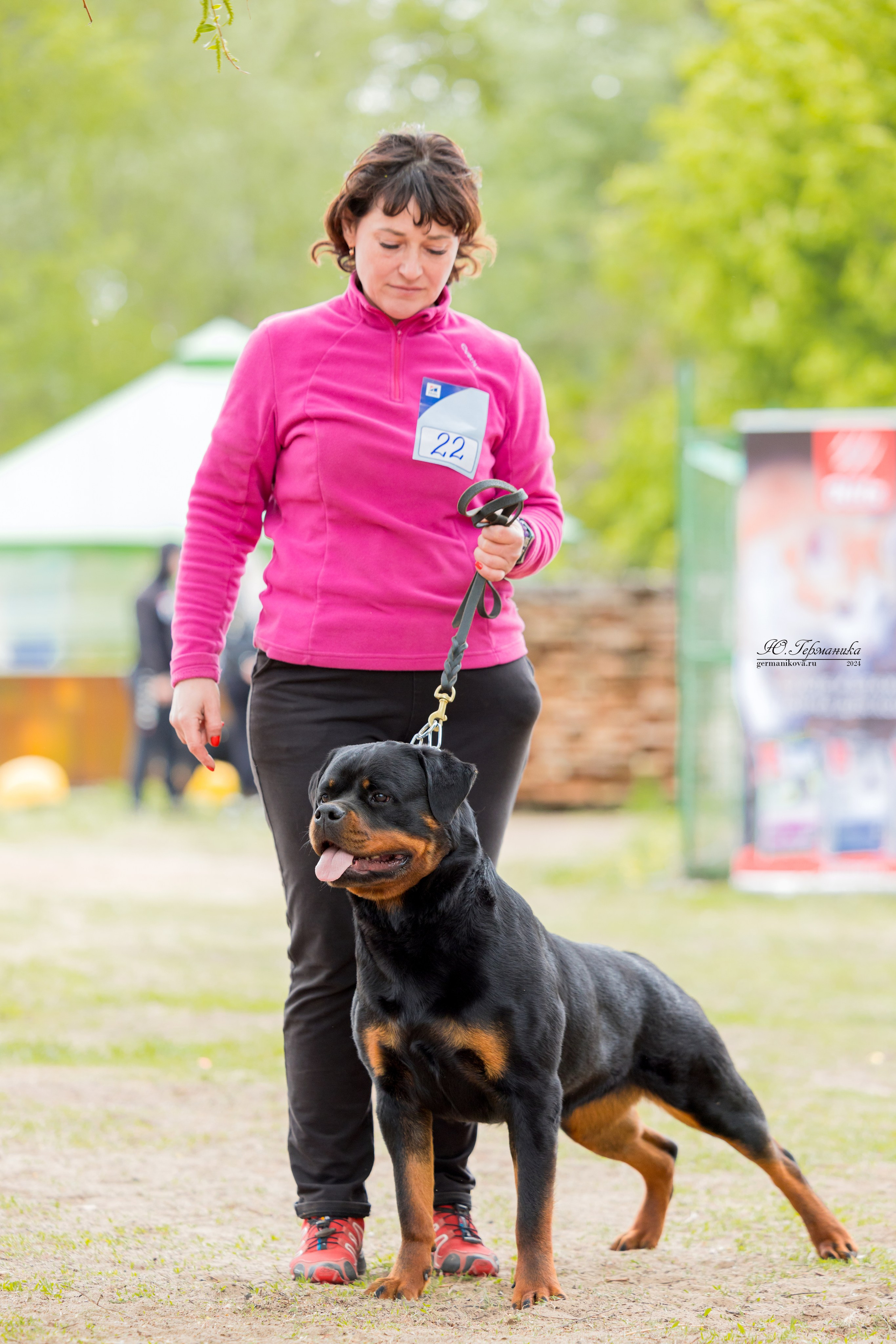 Саратов 2 х моно ротвейлеров 28-29.04.2024. Фотограф-анималист Юлия Германика