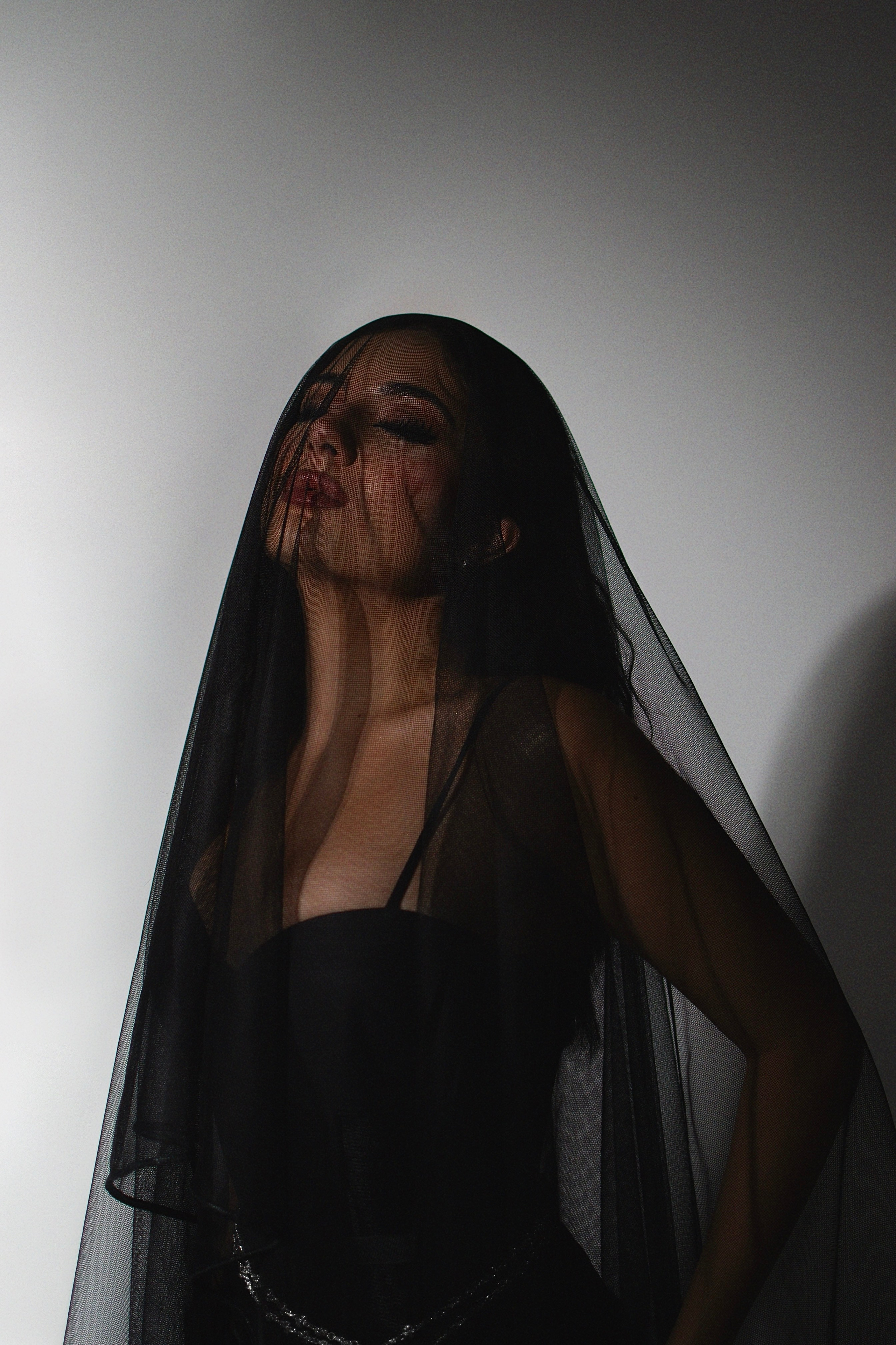 Morticia Addams. Фотограф Медведева Христина г. Санкт-Петербург