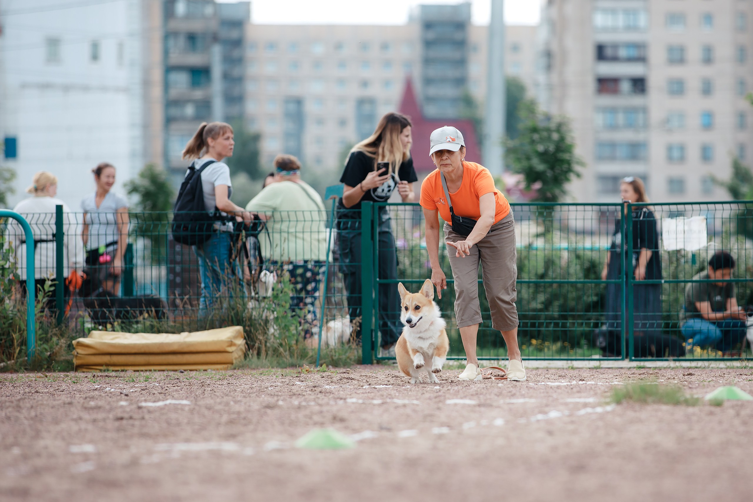 Питч&Гоу + веселые старты. Фотограф-анималист Mary Mart — Москва, Питер