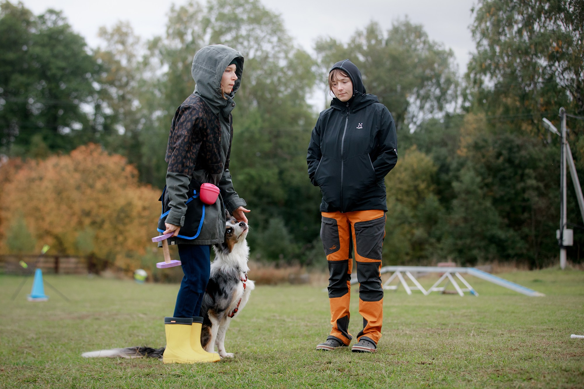 Лагерь по ОБД с Инной Баженовой. Фотограф-анималист Mary Mart — Москва, Питер