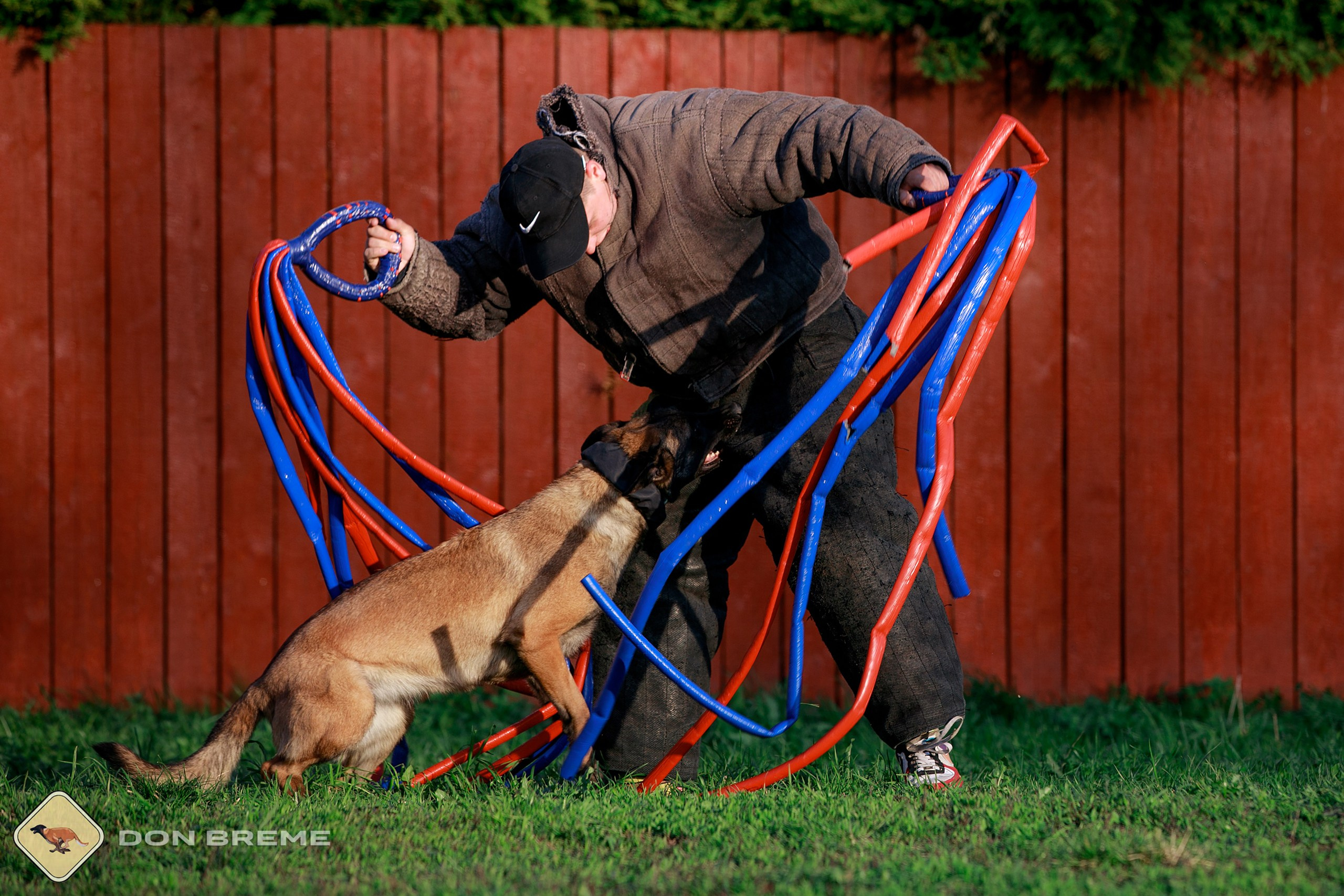 Семинар для фигурантов, день 4. Фотограф-анималист Mary Mart — Москва, Питер