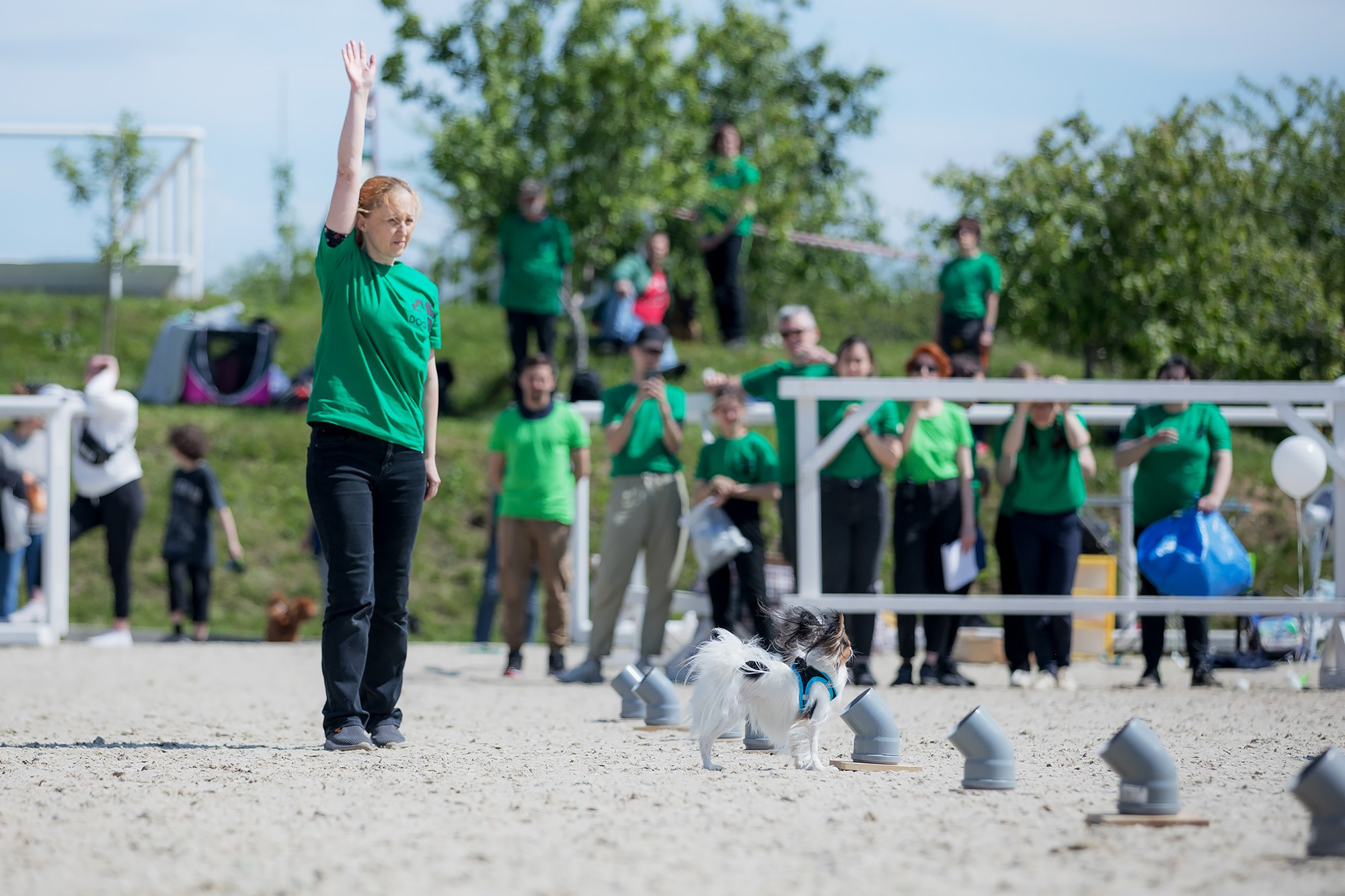 Показательные выступления по NoseWork на выставке «Россия». Фотограф-анималист Mary Mart — Москва, Питер