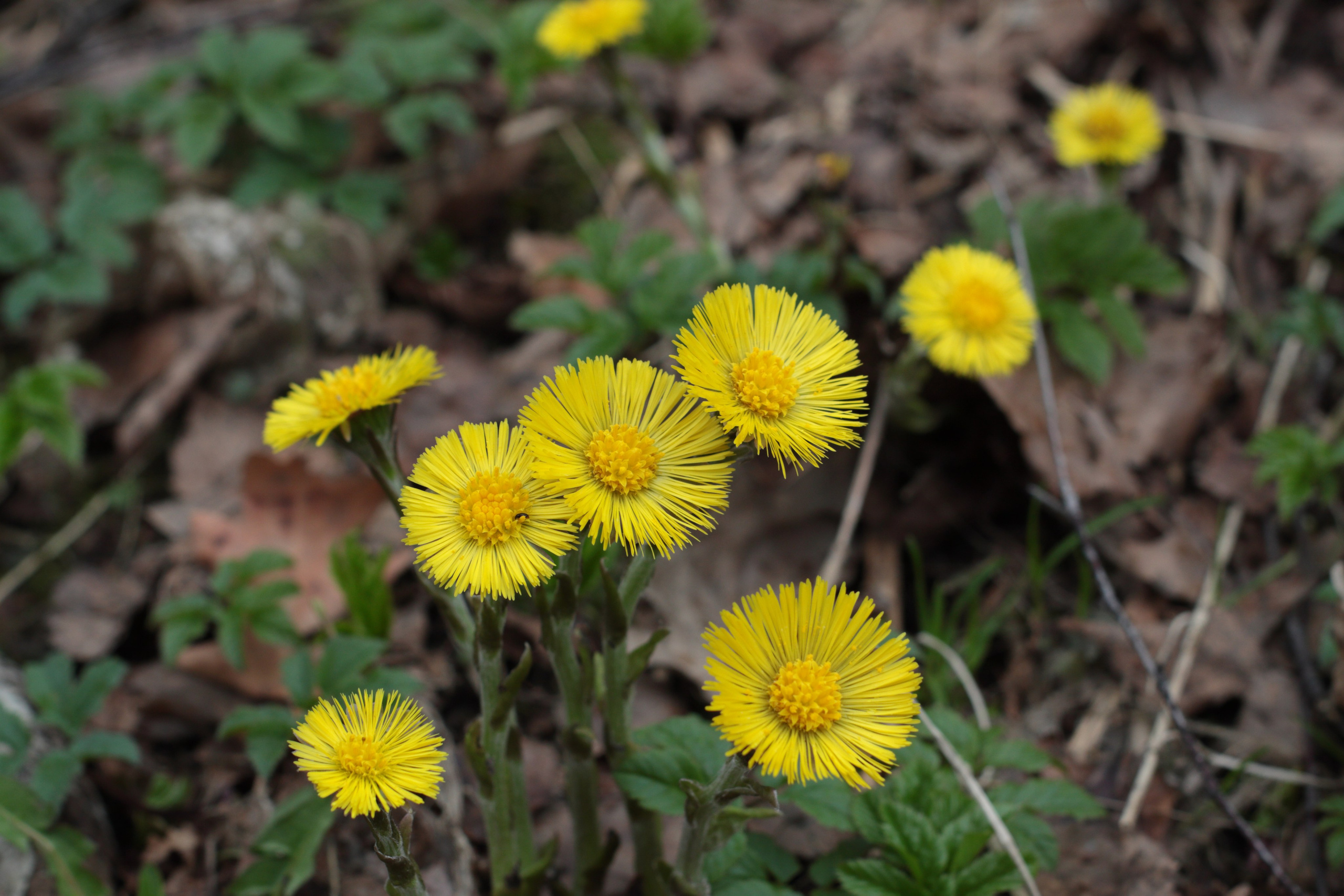 Старое природное, отбирала Katamount (Катерина Горохова). Главная