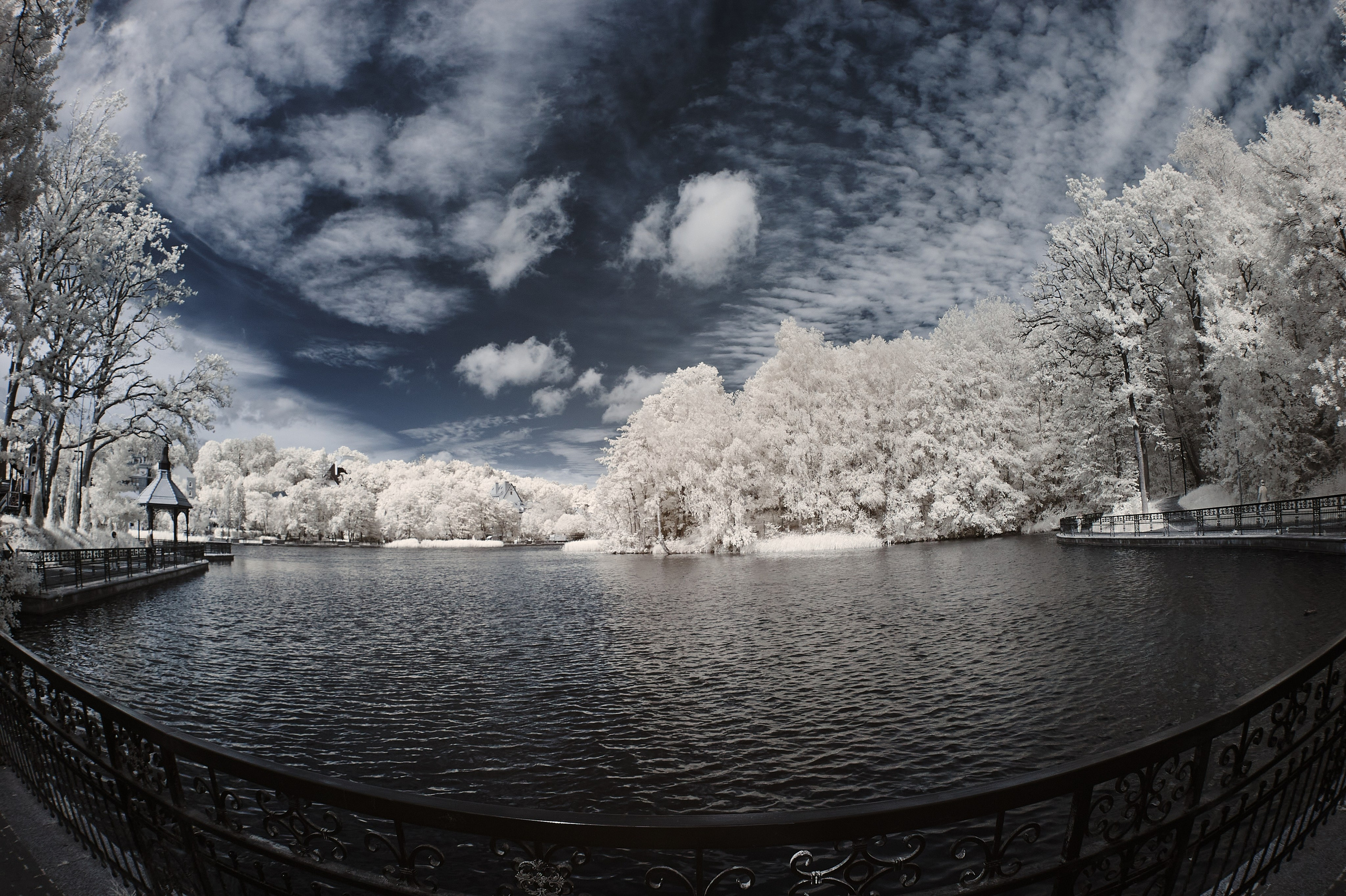 Infrared Photography. Solofilms
