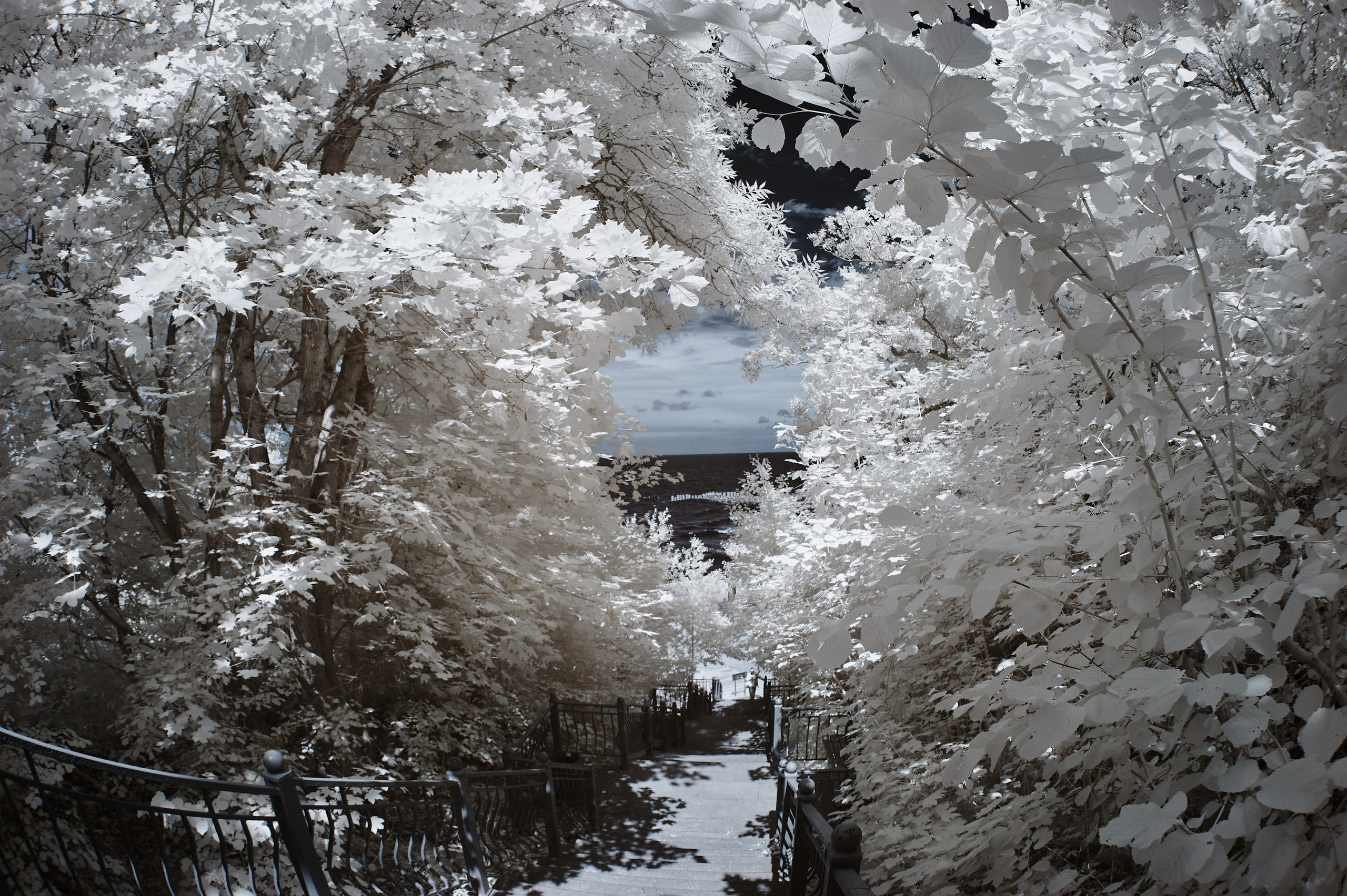 Infrared Photography. Solofilms