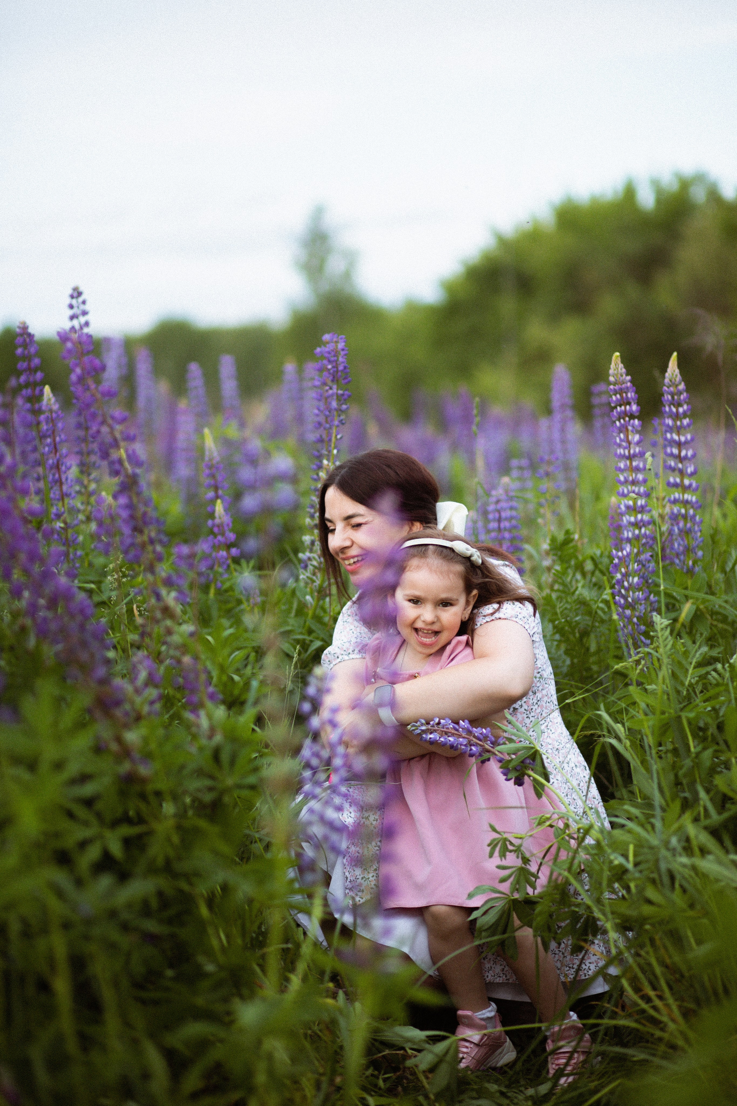 Июньские люпины. Фотограф в Москве/Санкт-Петербурге
