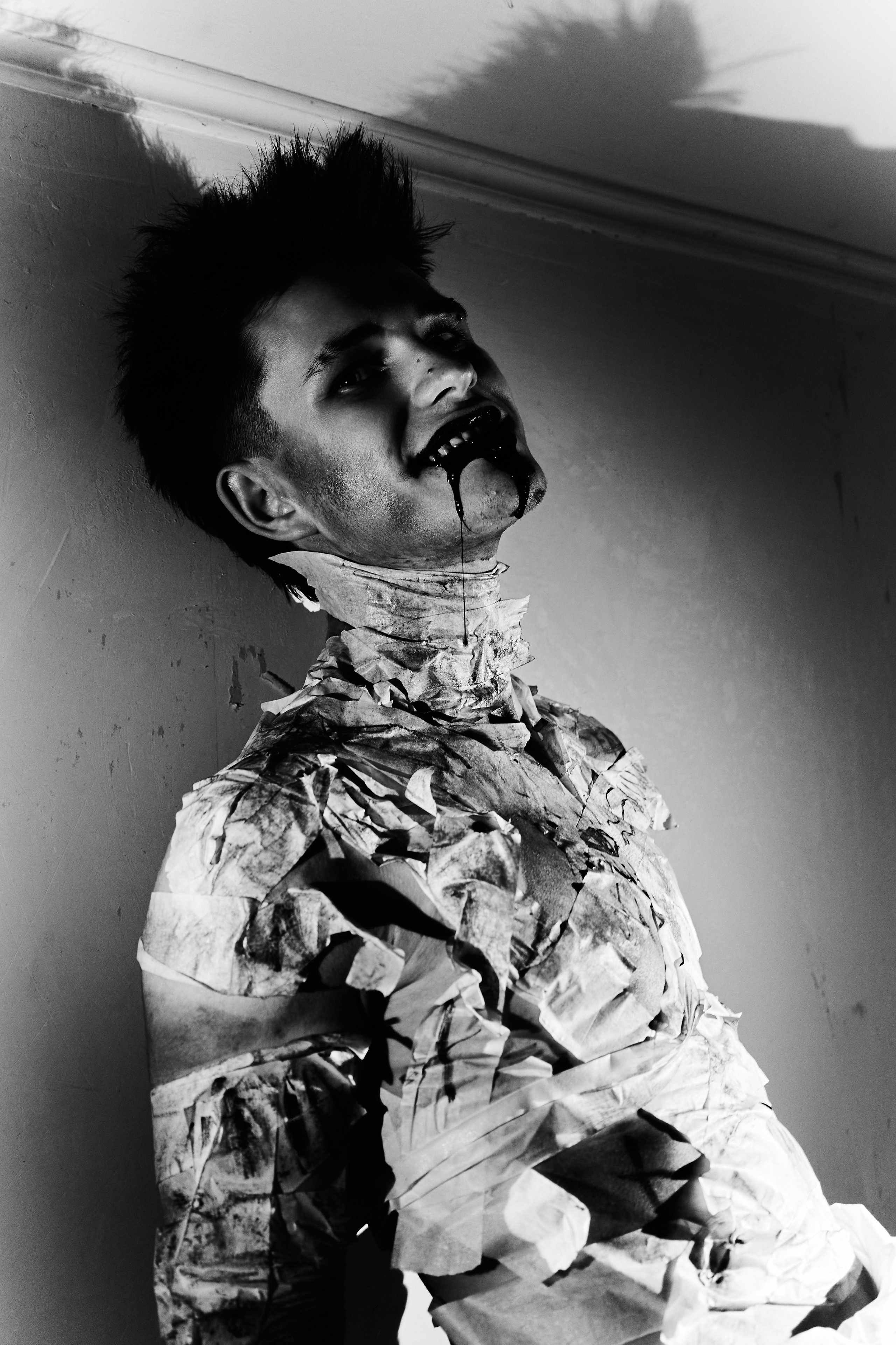 Арт-проект «Гнилой разум»