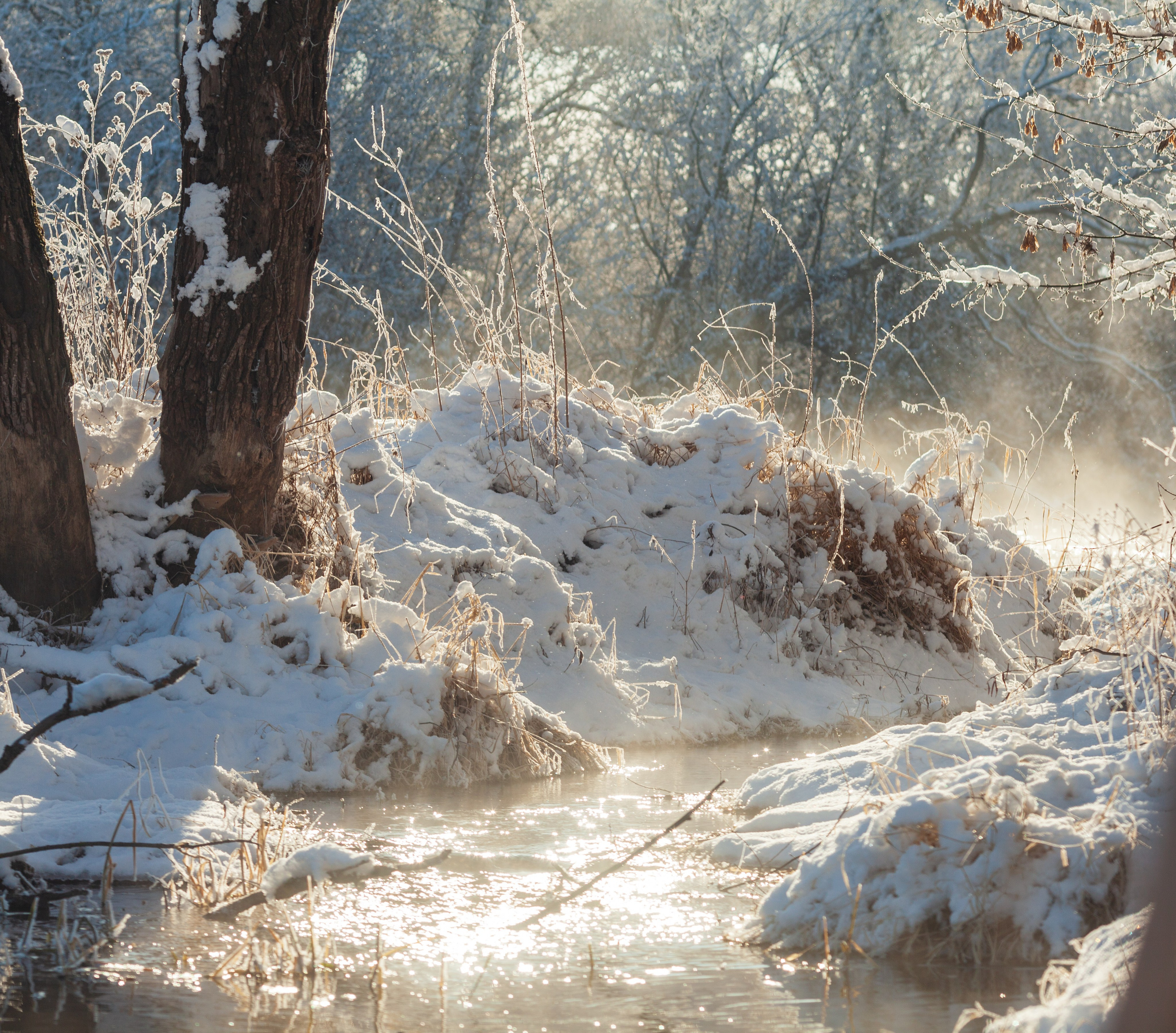 Природа. Фотохудожник Артём Парамонов