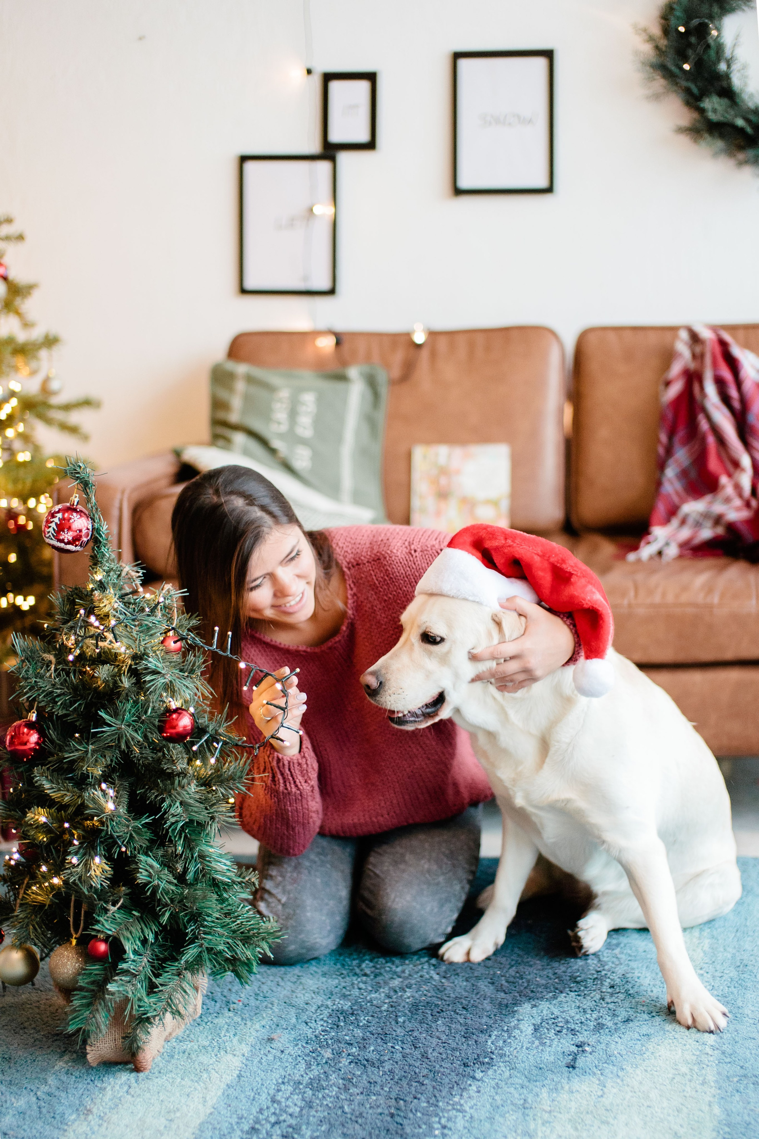 Семейная Новогодняя фотосессия в студии, фотограф в Москве
