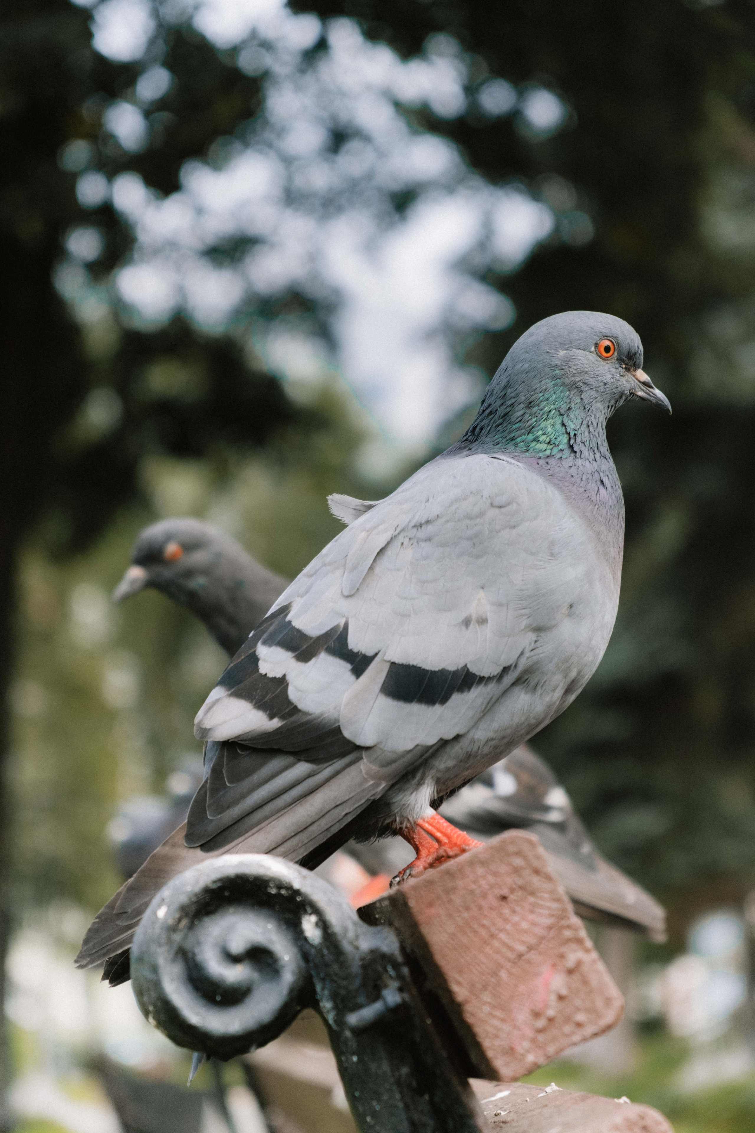 Замечательная повседневность. Контент-фотограф и видеограф в Перми
