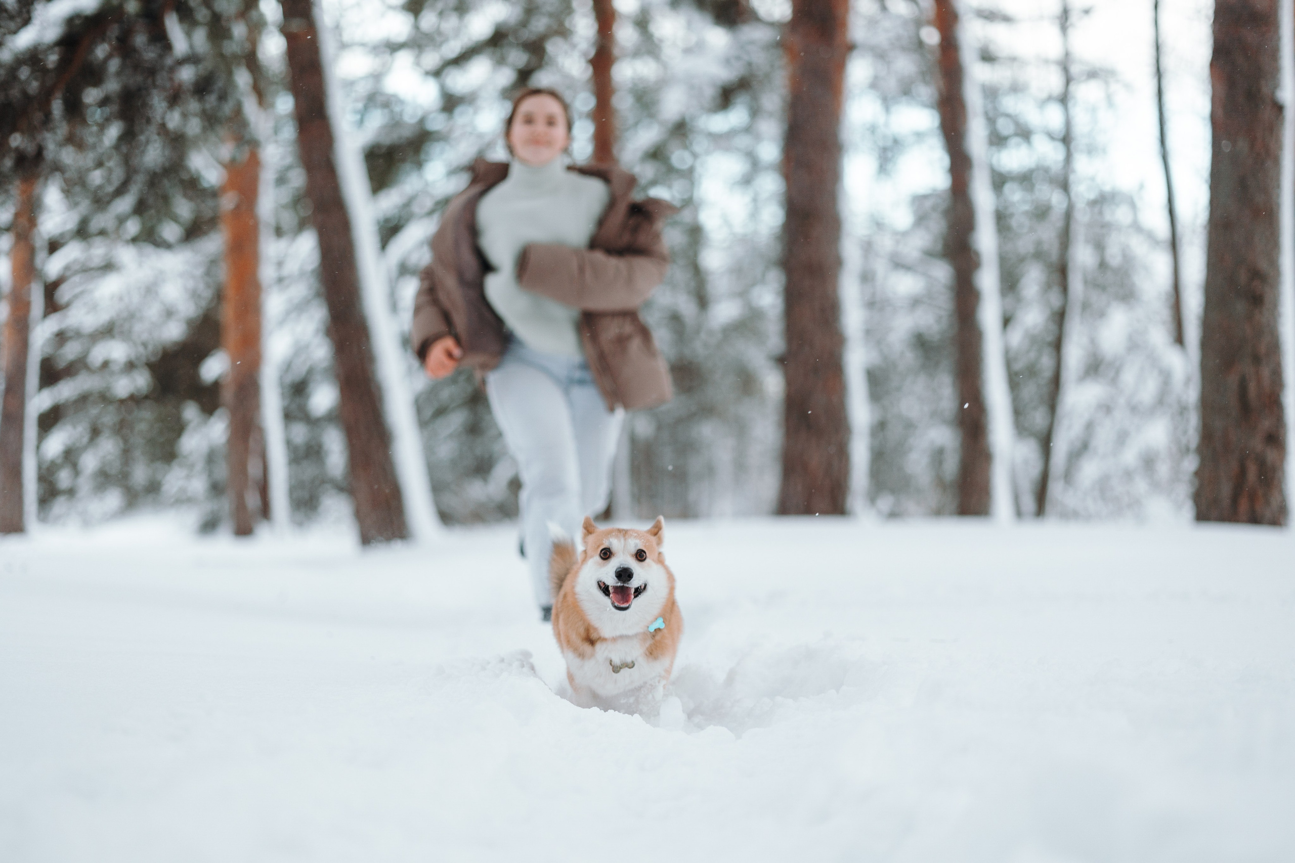 Оливка и ее семья. Фотограф — Анималист | Санкт-Петербург