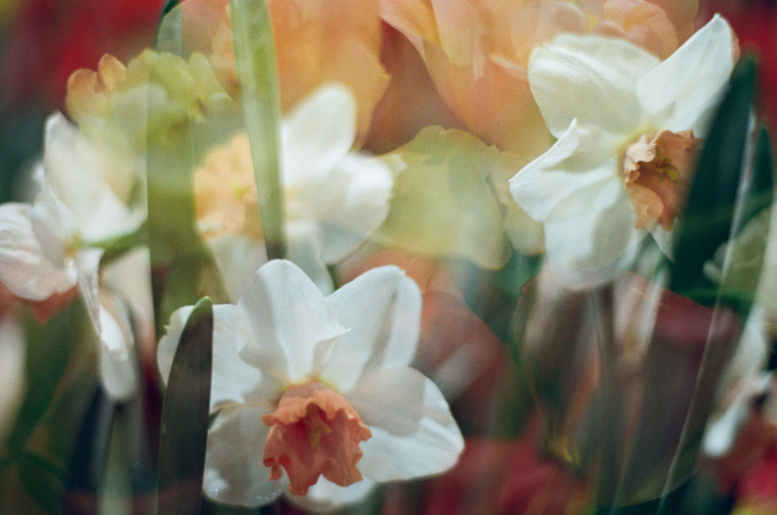 If i get high V. EVER EXPOSED