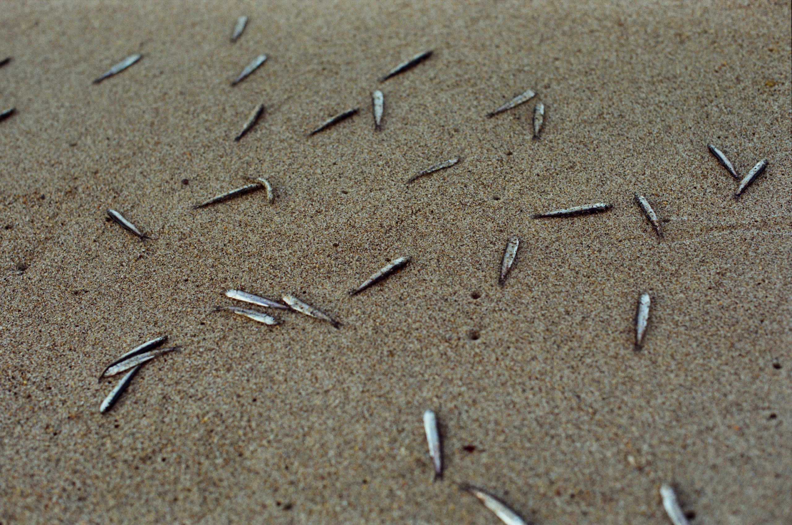 High and dry // kola peninsula II. EVER EXPOSED