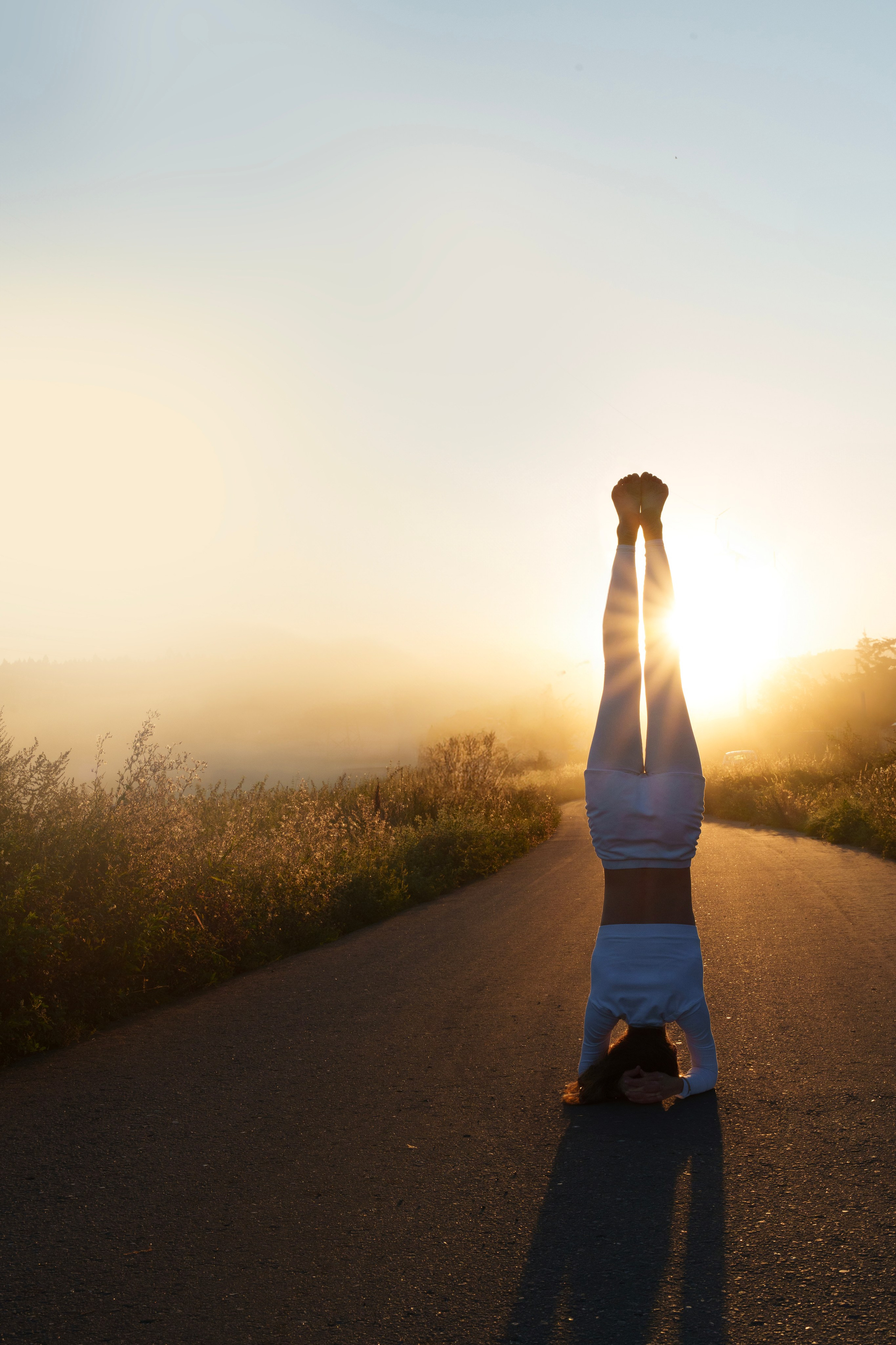 Daria. Ksenia Arefieva