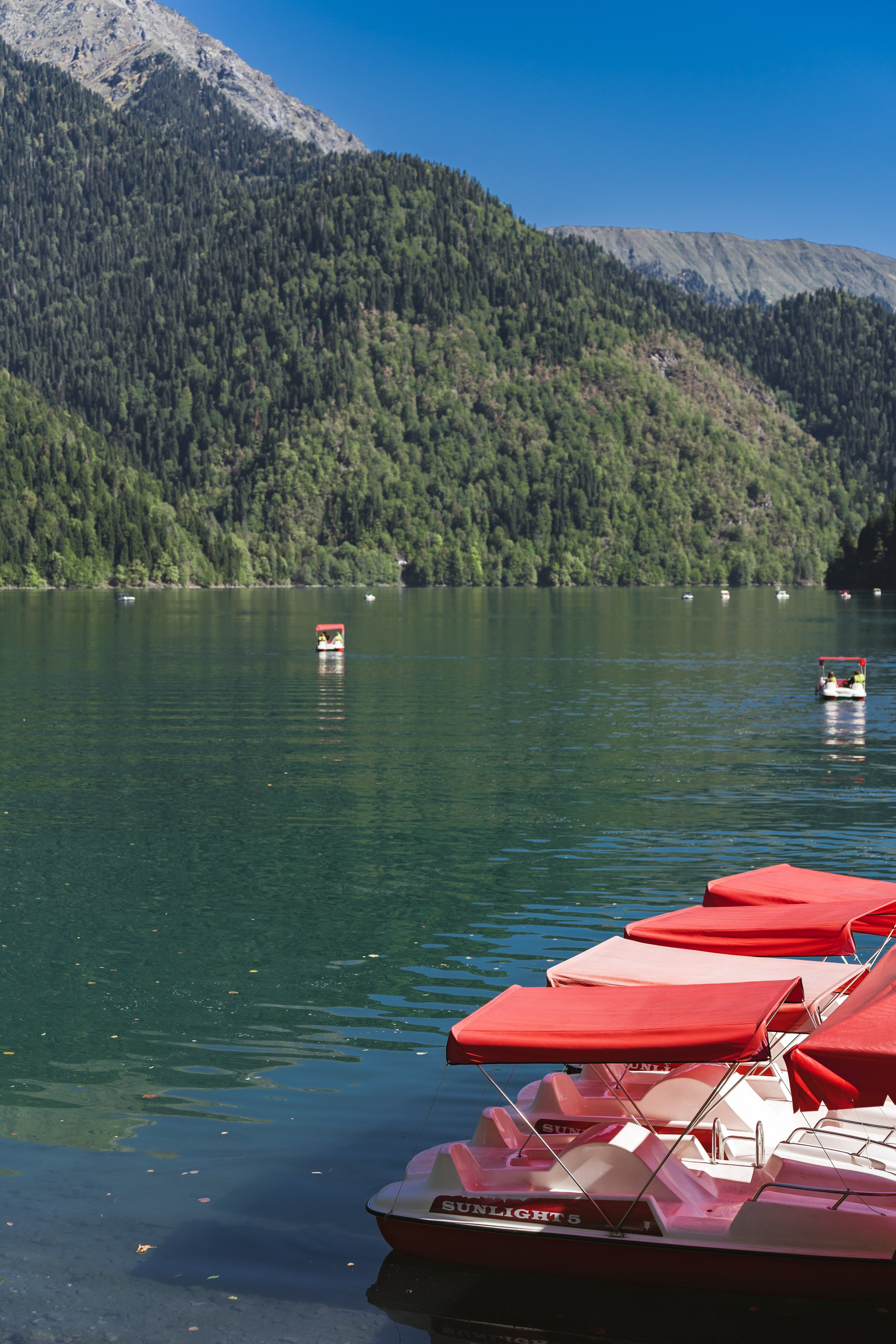 Фотографии из поездки в Абхазию. Предметный фотограф Санкт-Петербург