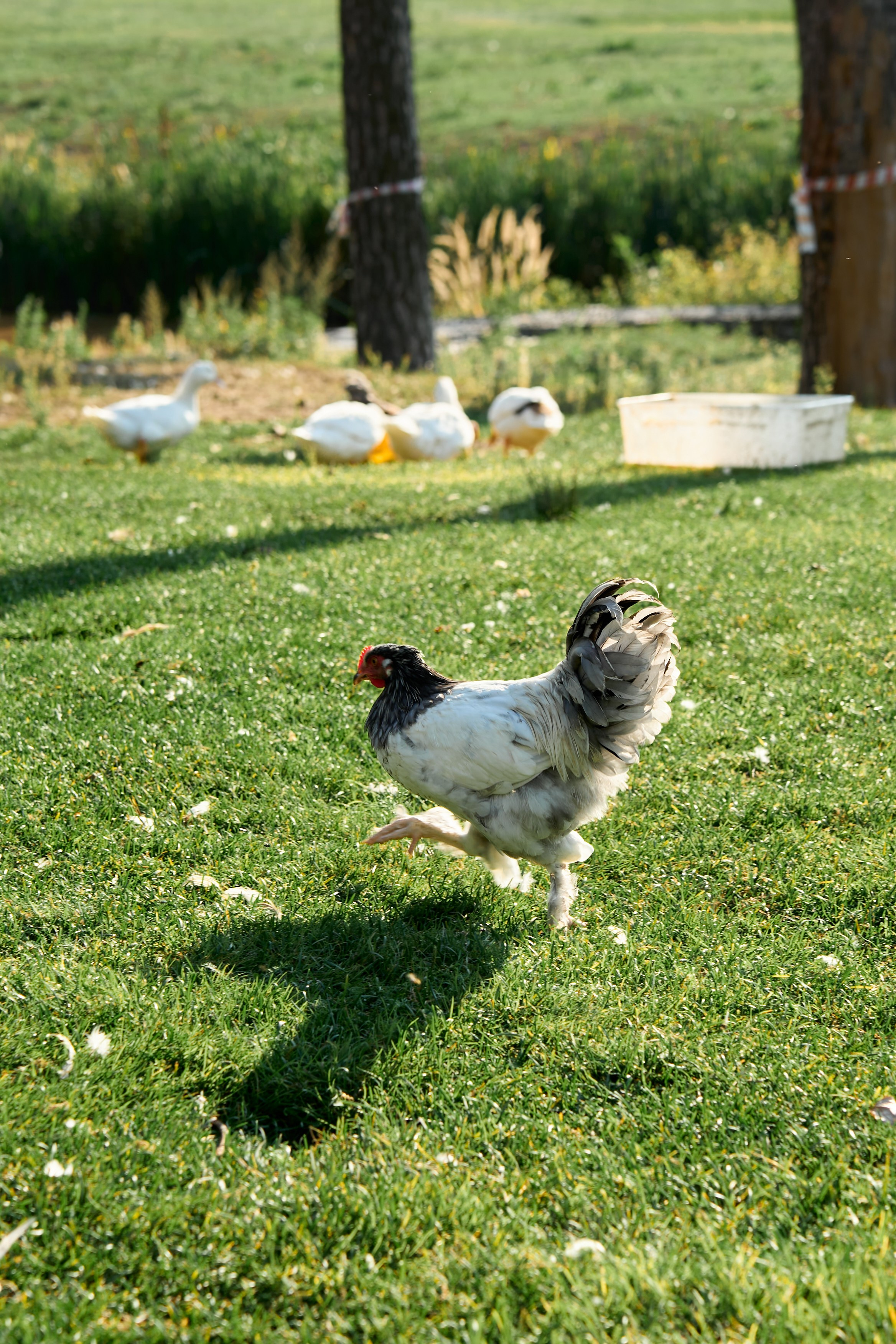 День Рождения Кати. Елизавета Мальгина, фотограф в Москве