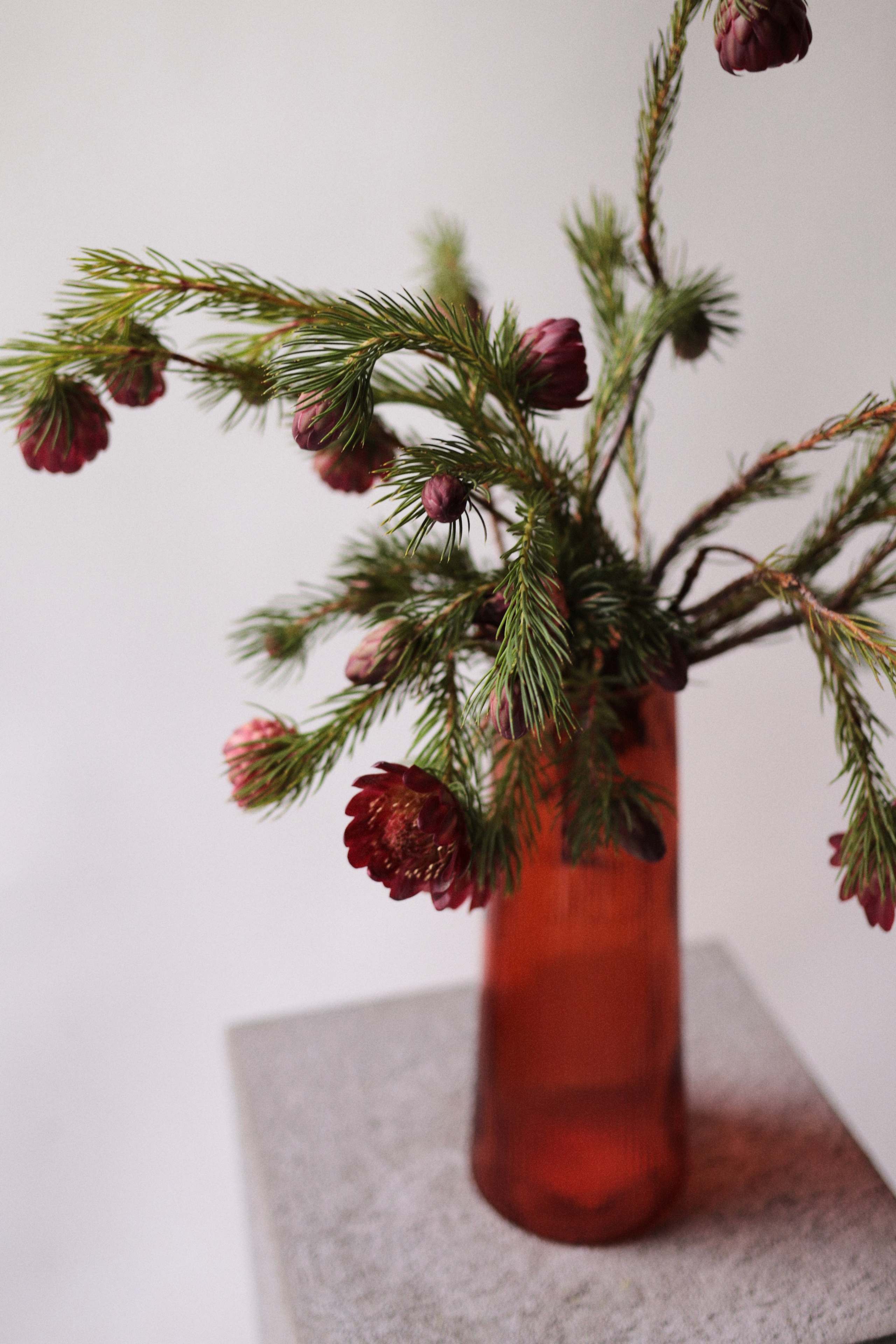 Flowers. Виктория Калугина — фотограф и видеомейкер в Москве