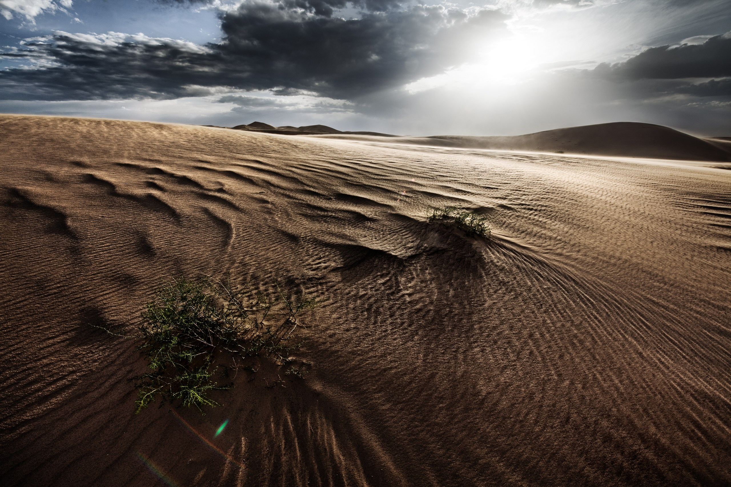 Монголия. Фотограф Владимир Медведев