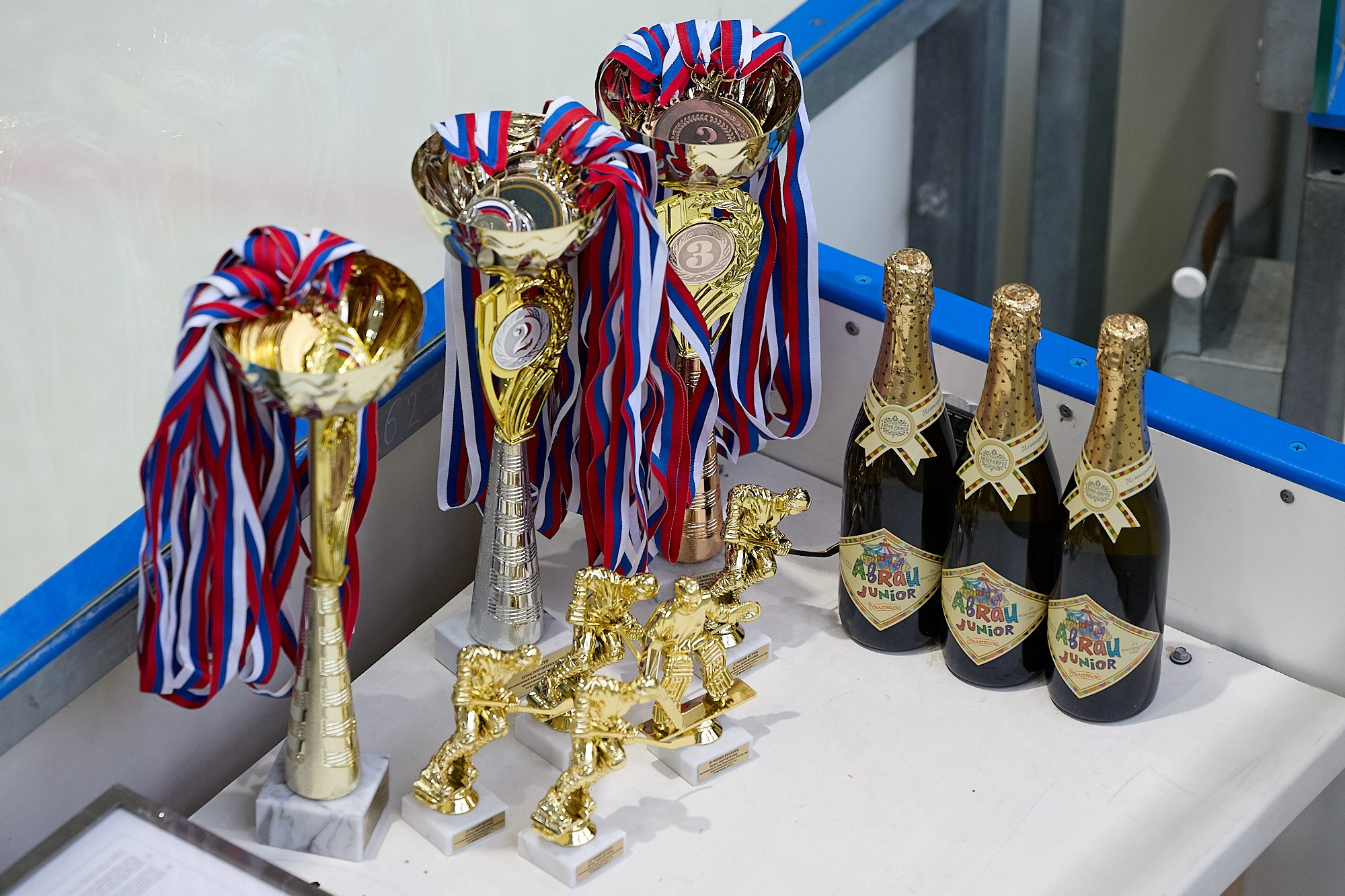 Хоккей. Турнир Insport, дети. Светлана Родионова — фотограф спортивный и не только