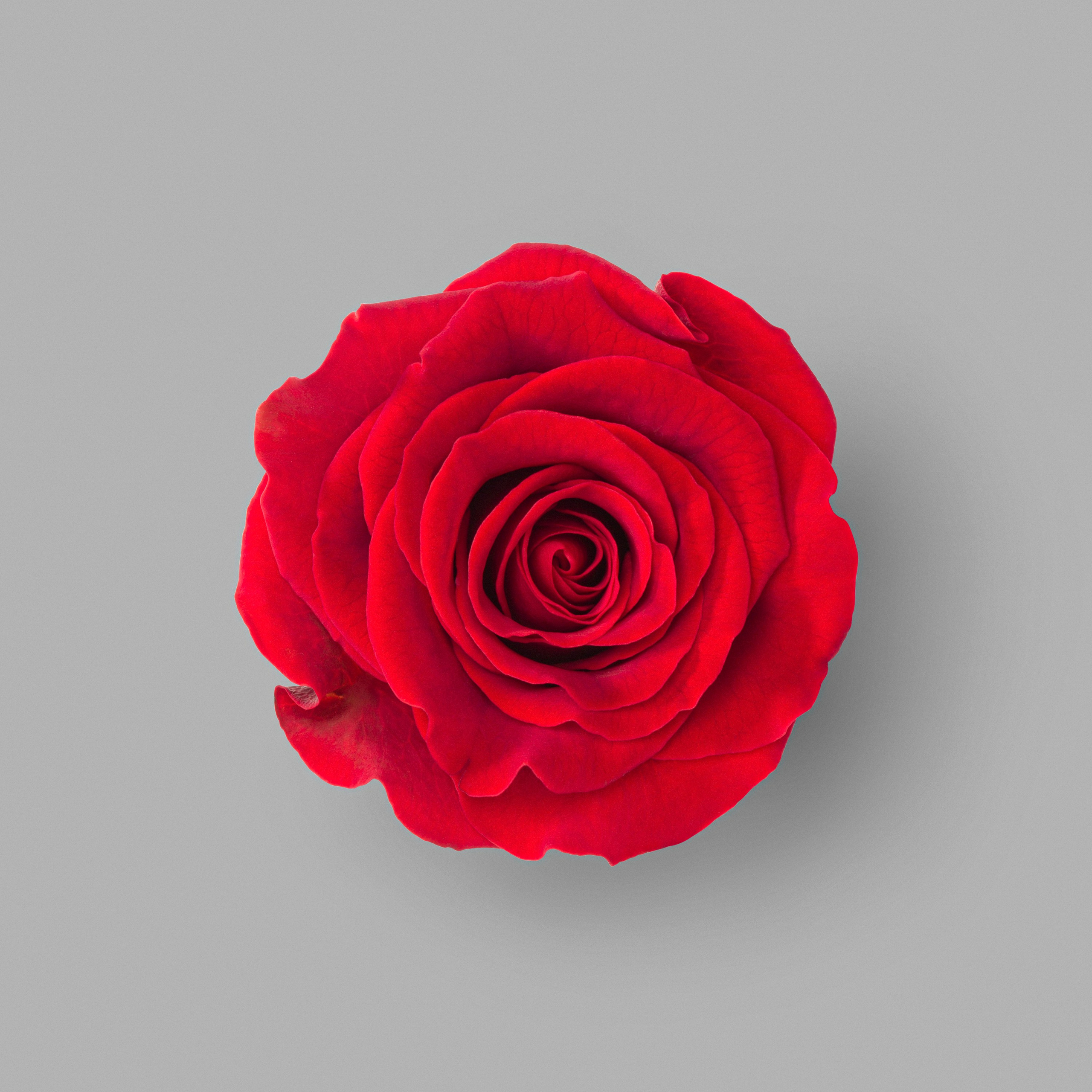 Stills. Vladimir Kochetkov — Photographer, Art Director, AI Creator