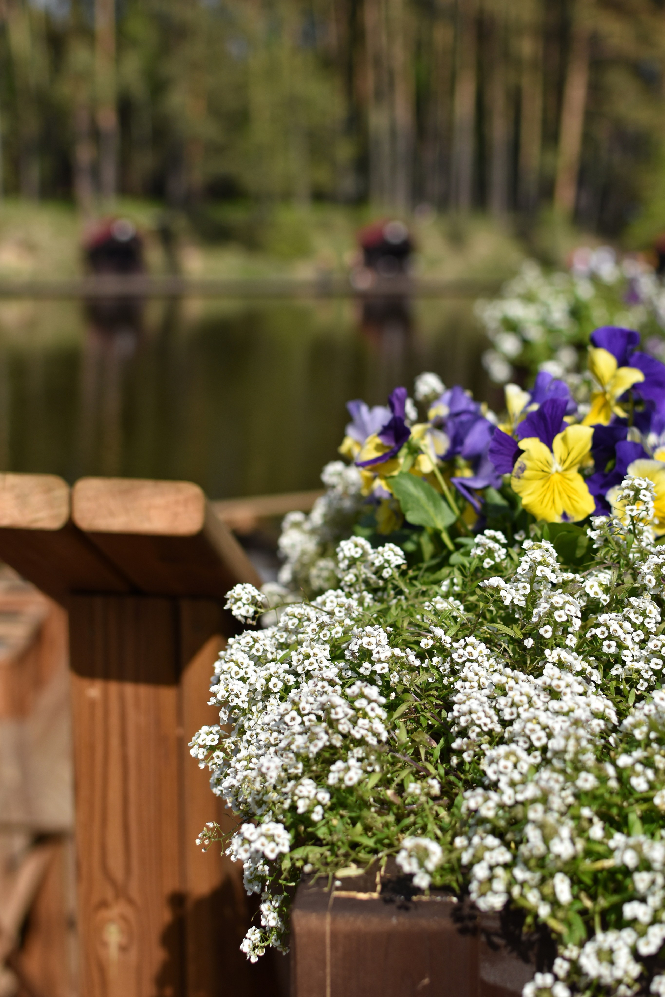 День рождения. Семейный фотограф в Красногорске и Лобне — Мария Бесштанькина | Семейные фотосессии