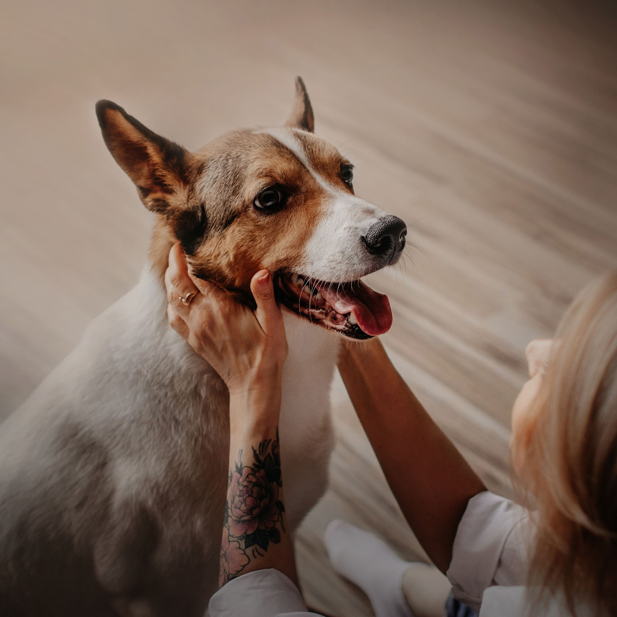 Наталья и Эпик. Фотограф Наталья Потапова