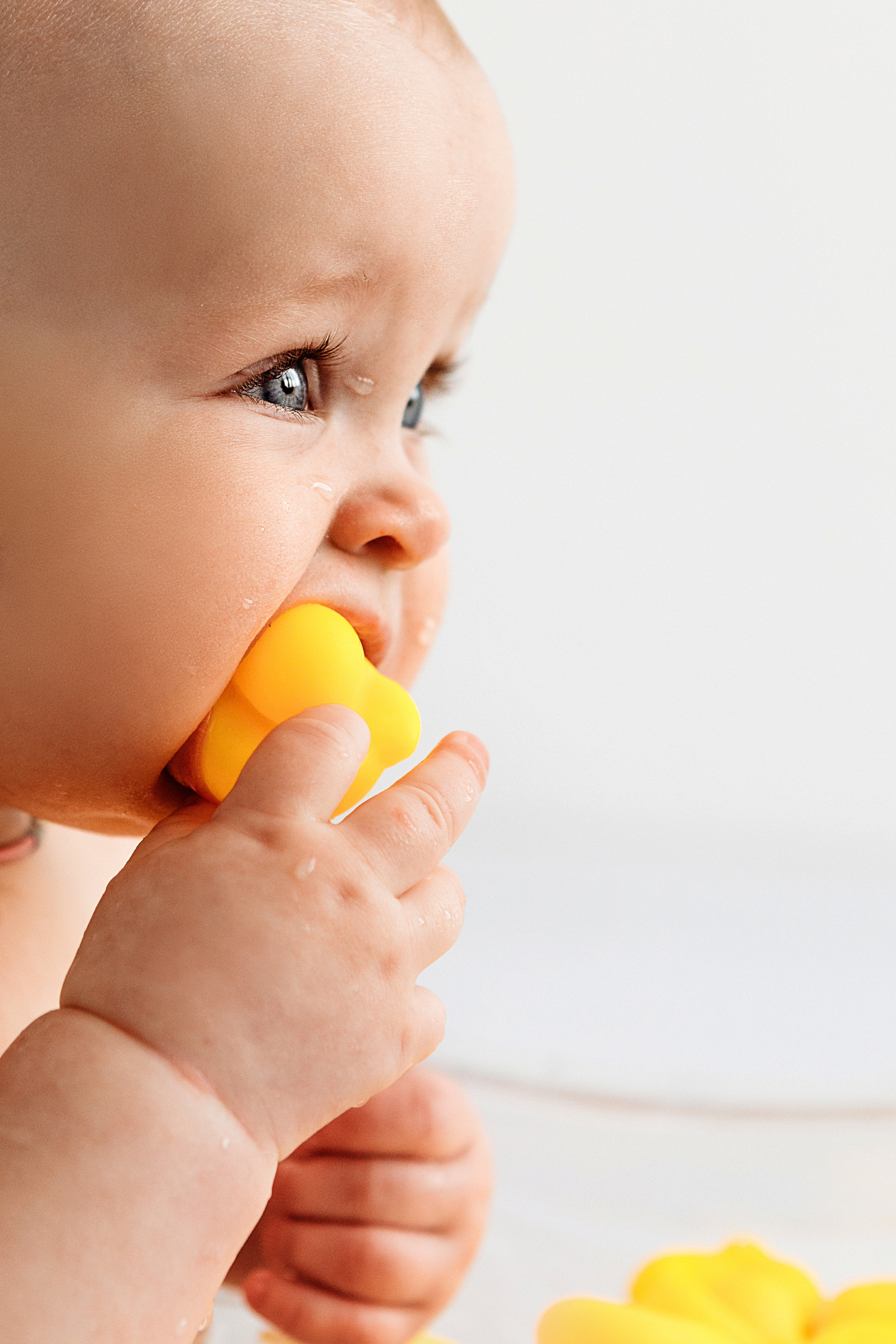 Малыши. Детская фотостудия Валерии Полукаровой в Солнечногорске