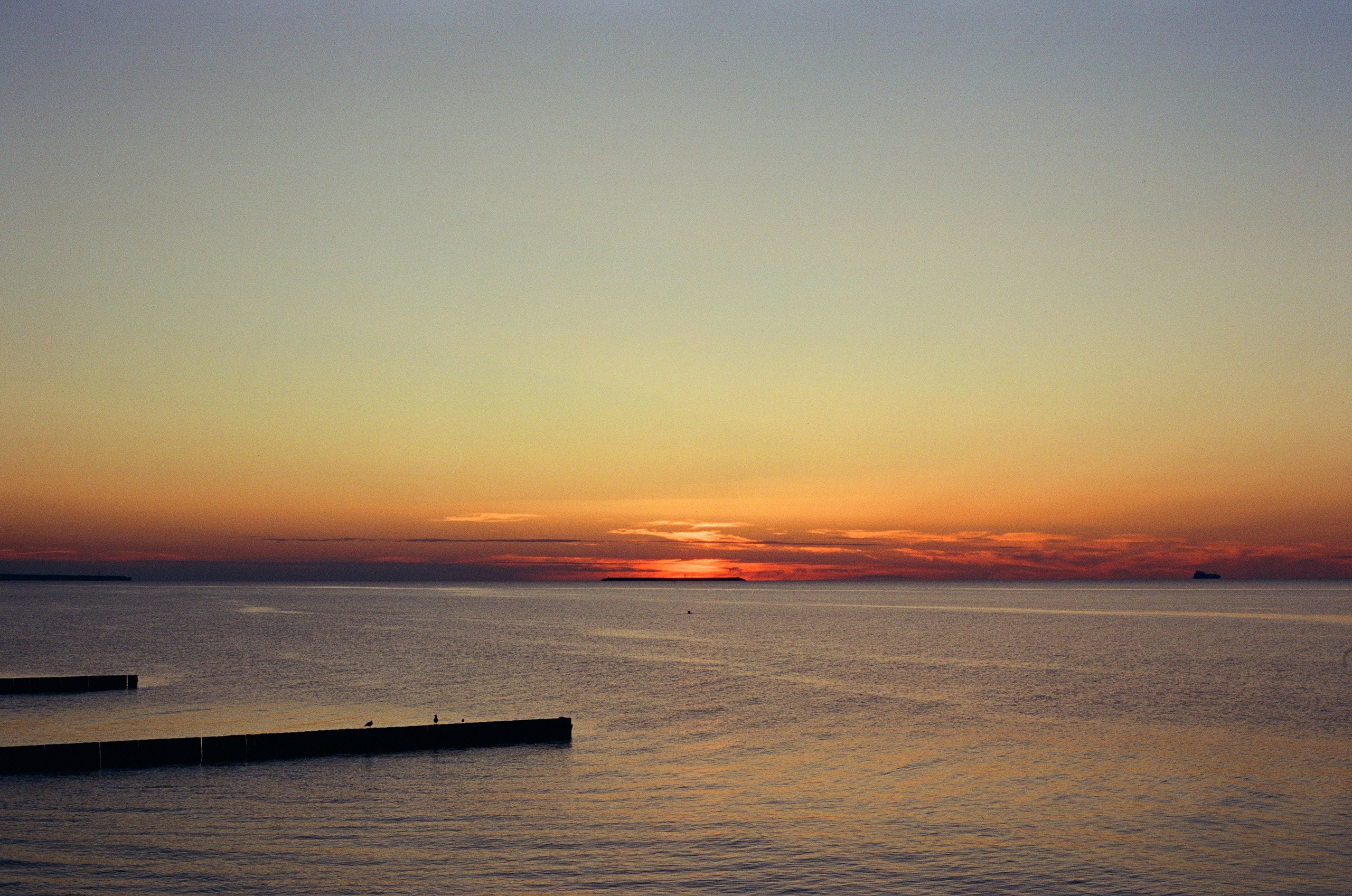 Плёнка🎞️. Фотограф в Москве Ксюшенька