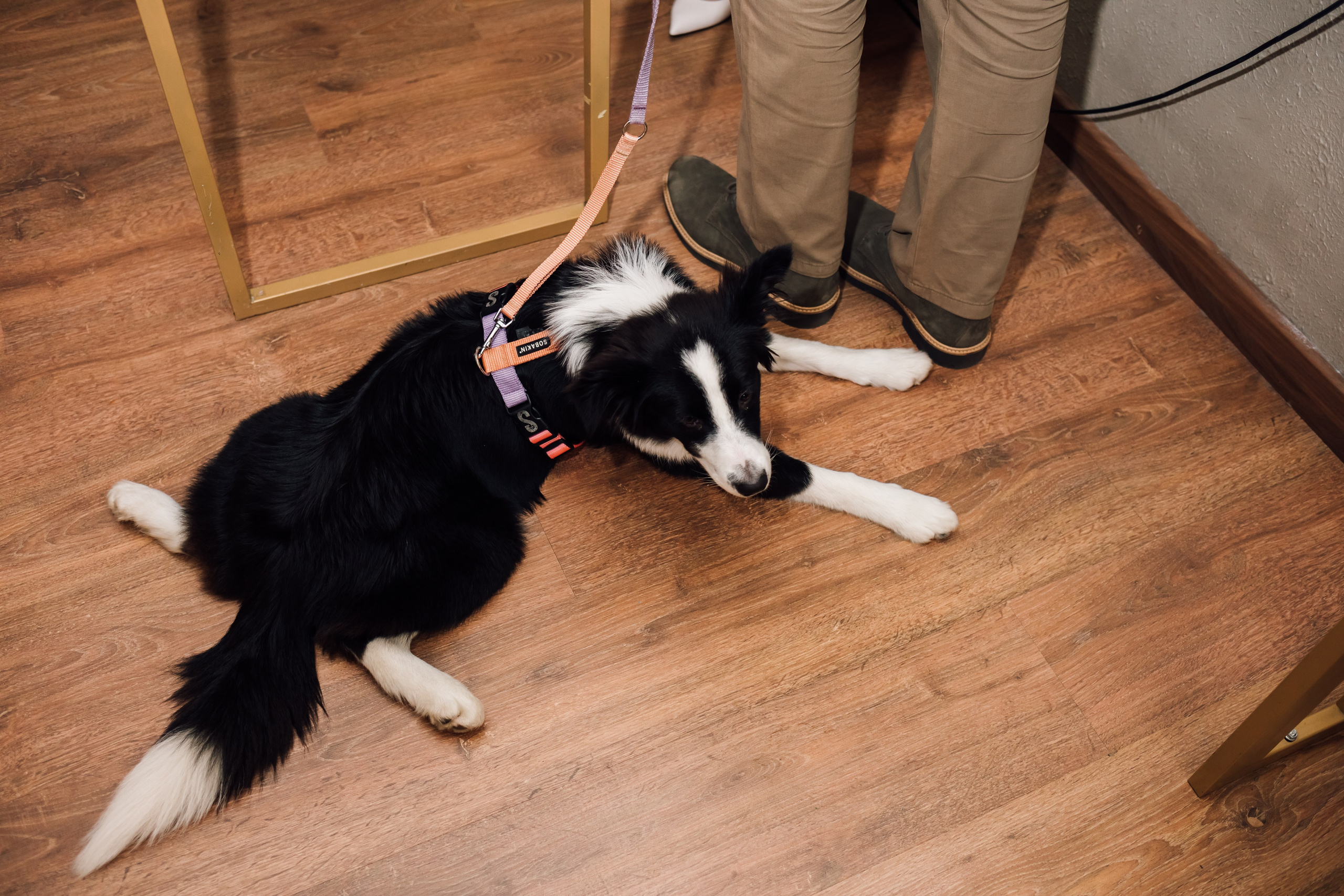 Таня и Миша. Свадьба в лофте. Свадебный и семейный фотограф в Москве Евгения Лисина