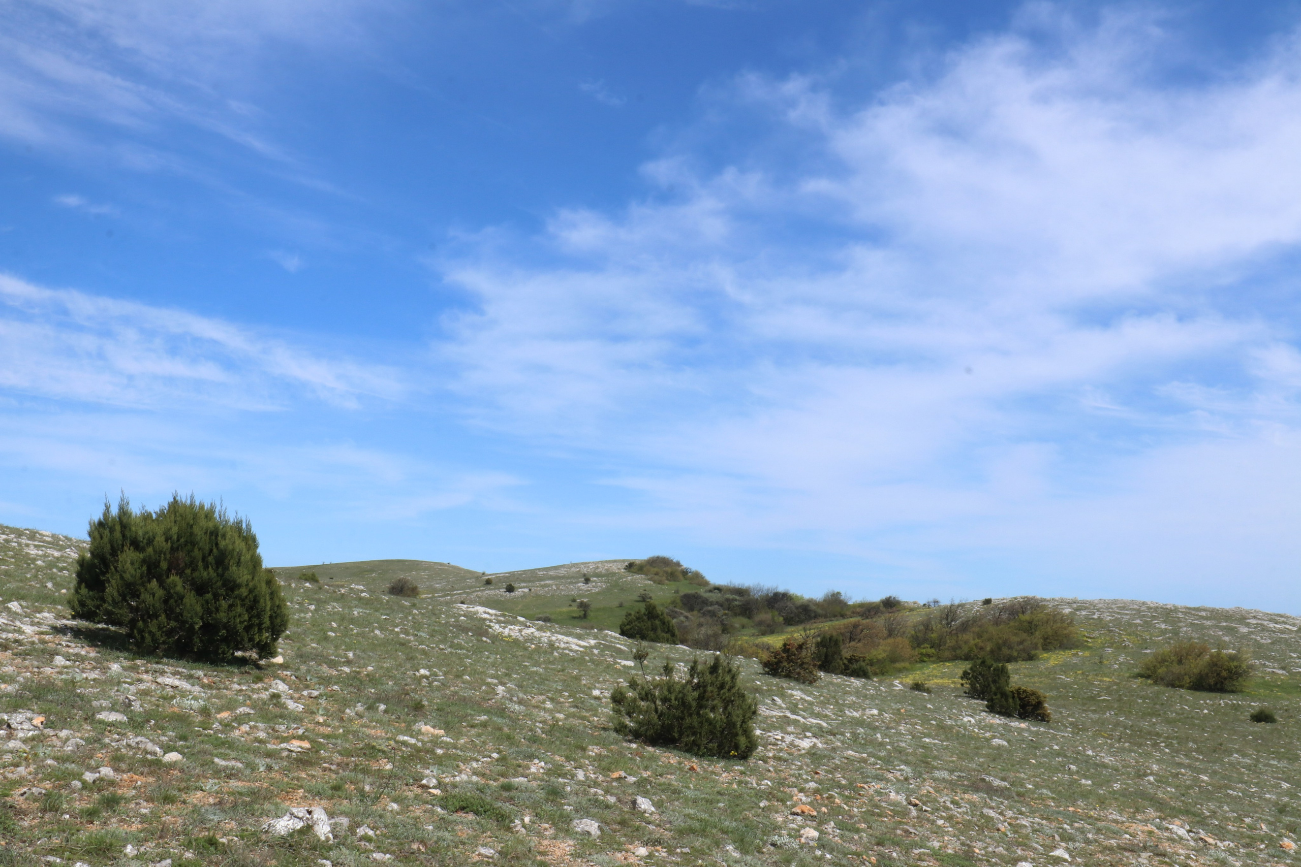 Крым. ЮБК (Севастополь, Кастрополь, Ялта). Май 2023. Путешественник-фотограф из Санкт-Петербурга Татьяна Свистулина