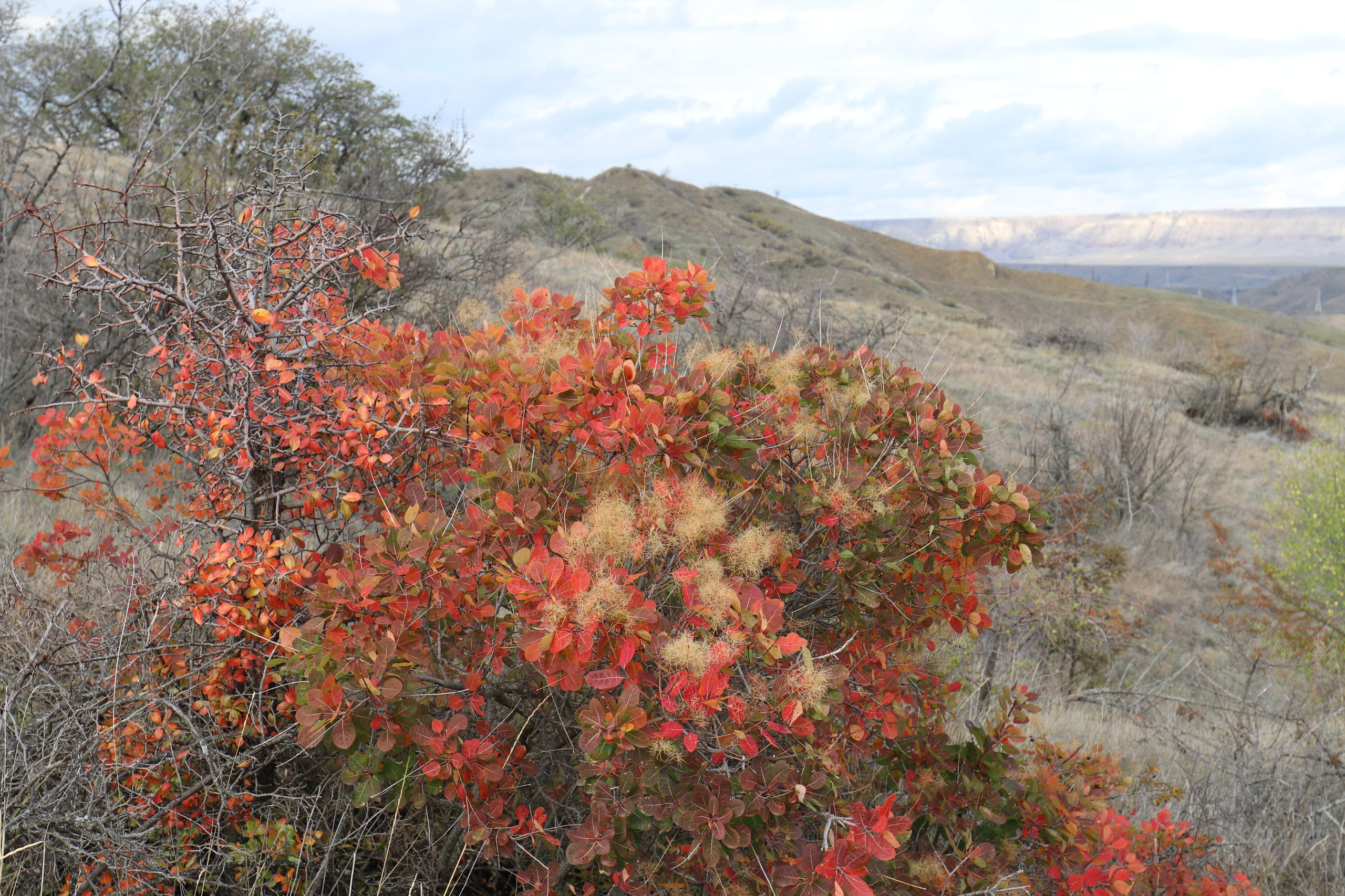 Крым. ЮБК (Судак, Карадаг). Ноябрь 2020. Путешественник-фотограф из Санкт-Петербурга Татьяна Свистулина