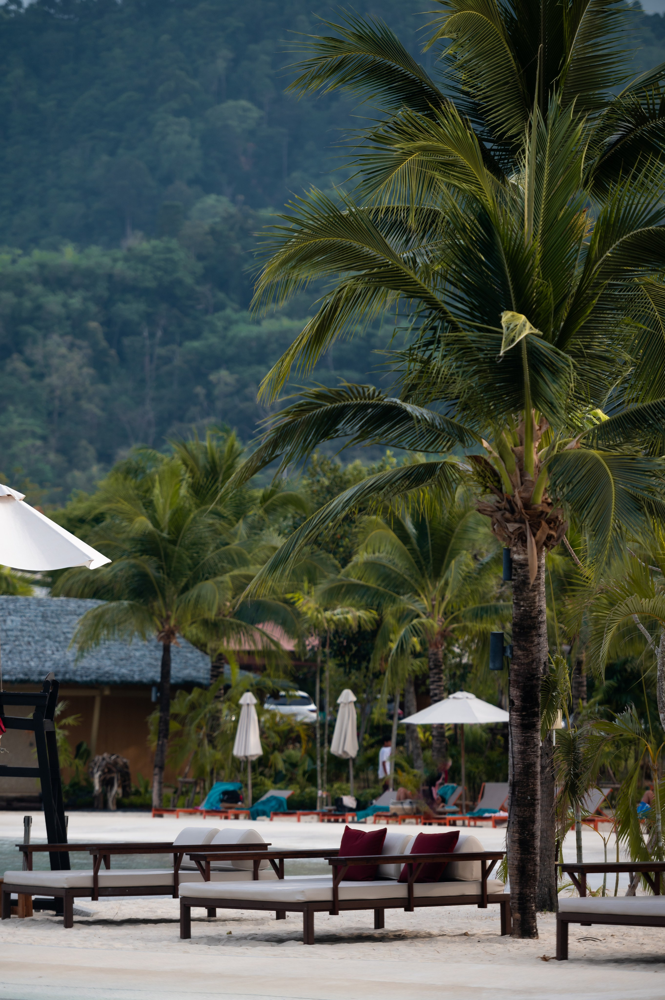 Mu mu. Photo & Video production, in Bishkek, Kyrgyzstan