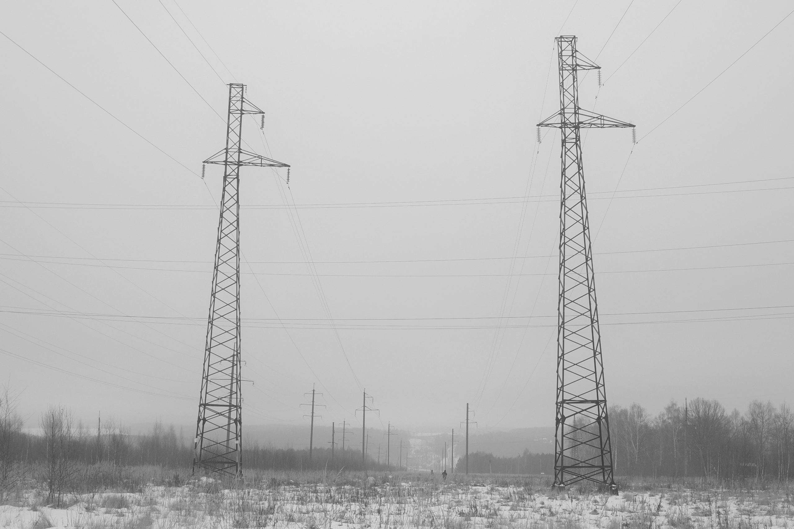 — 2025. Фотограф Злата Спицына