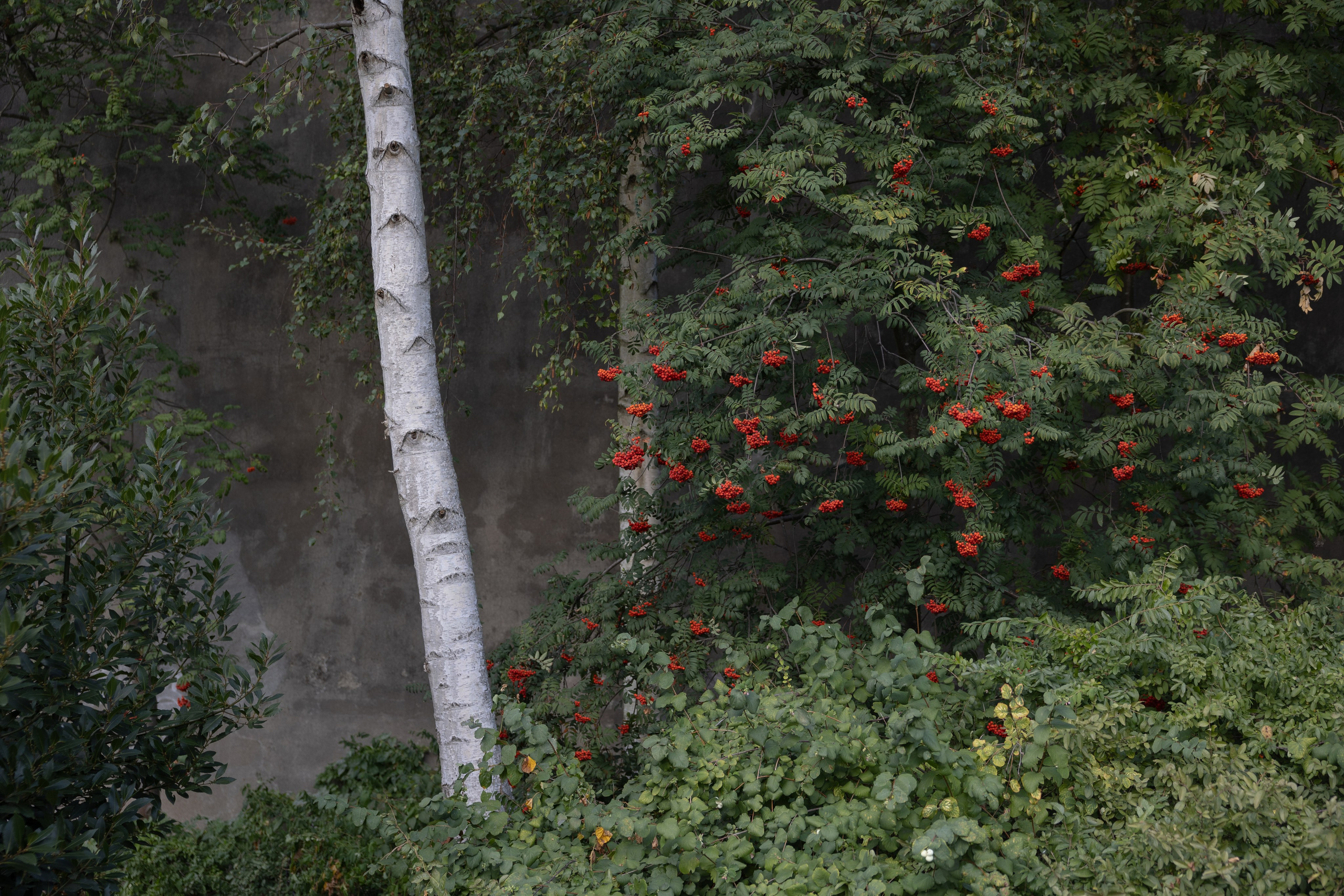 Точка сборки | The assembly point. Фотограф алина стерхова, алина стерхова фотограф, фотограф москва