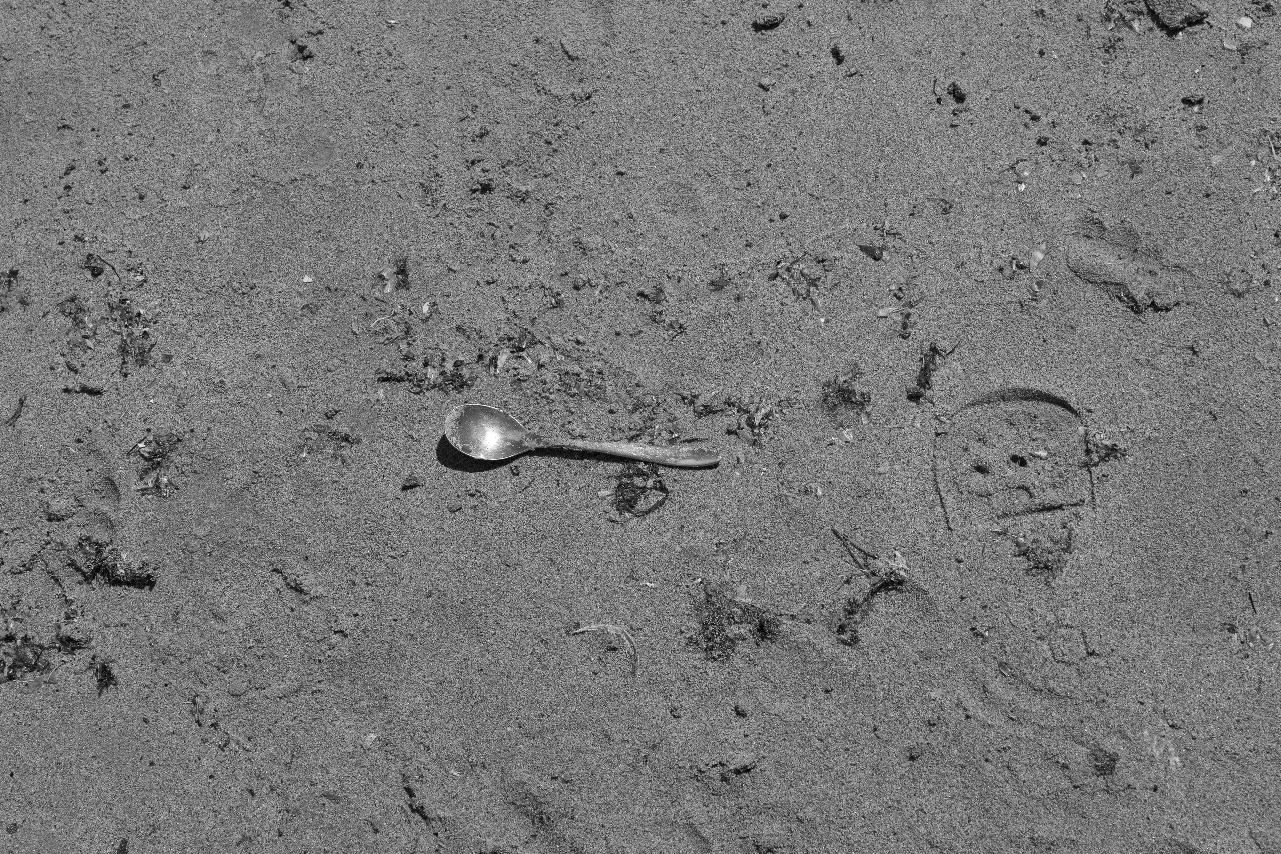 Art prints. Фотограф алина стерхова, алина стерхова фотограф, фотограф москва