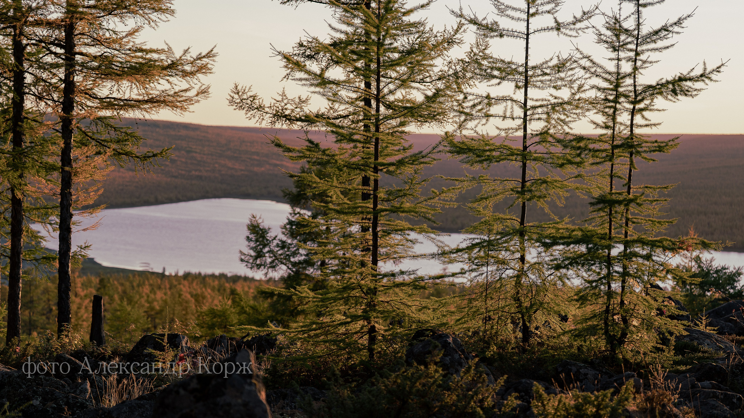 Золотая осень 2025. Айхал. Удачный. Мирный Якутия. Фотографии и видеосъемка, Айхал, Удачный, Якутия. Фотографии Айхал