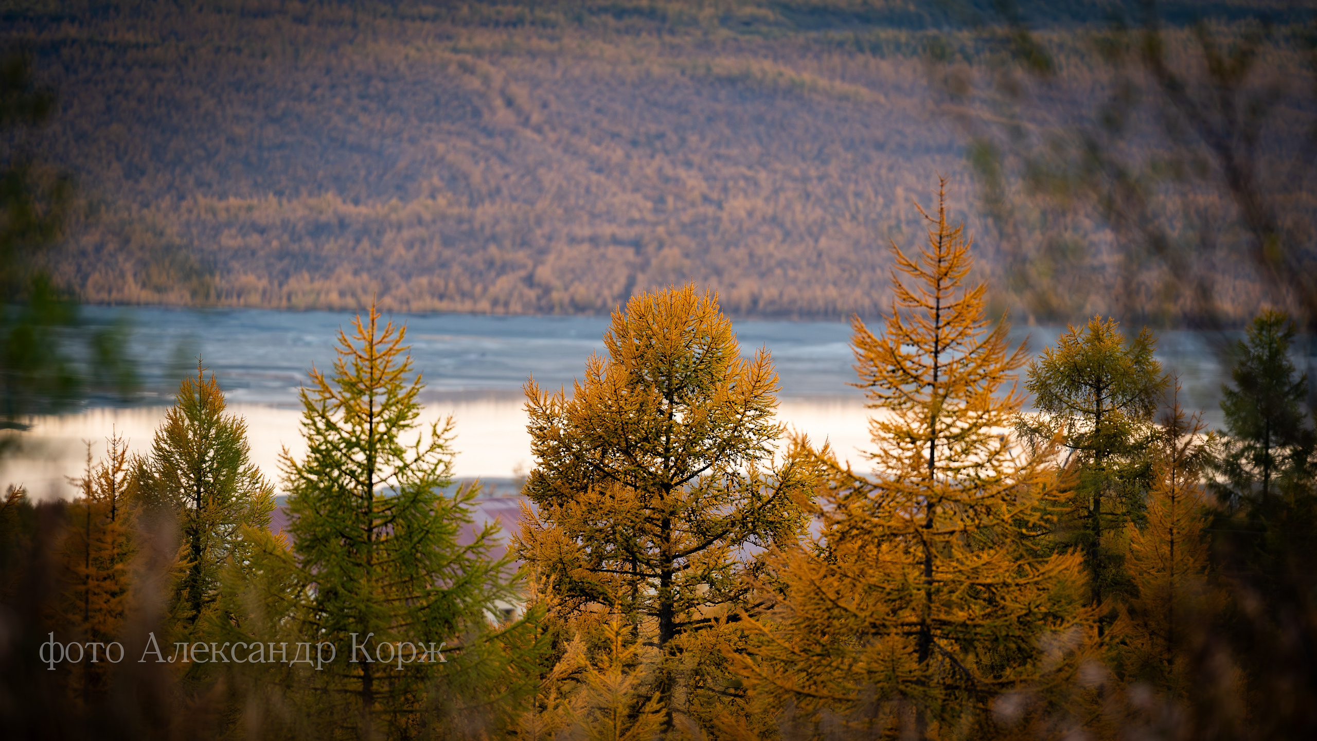 Золотая осень 2025. Айхал. Удачный. Мирный Якутия. Фотографии и видеосъемка, Айхал, Удачный, Якутия. Фотографии Айхал